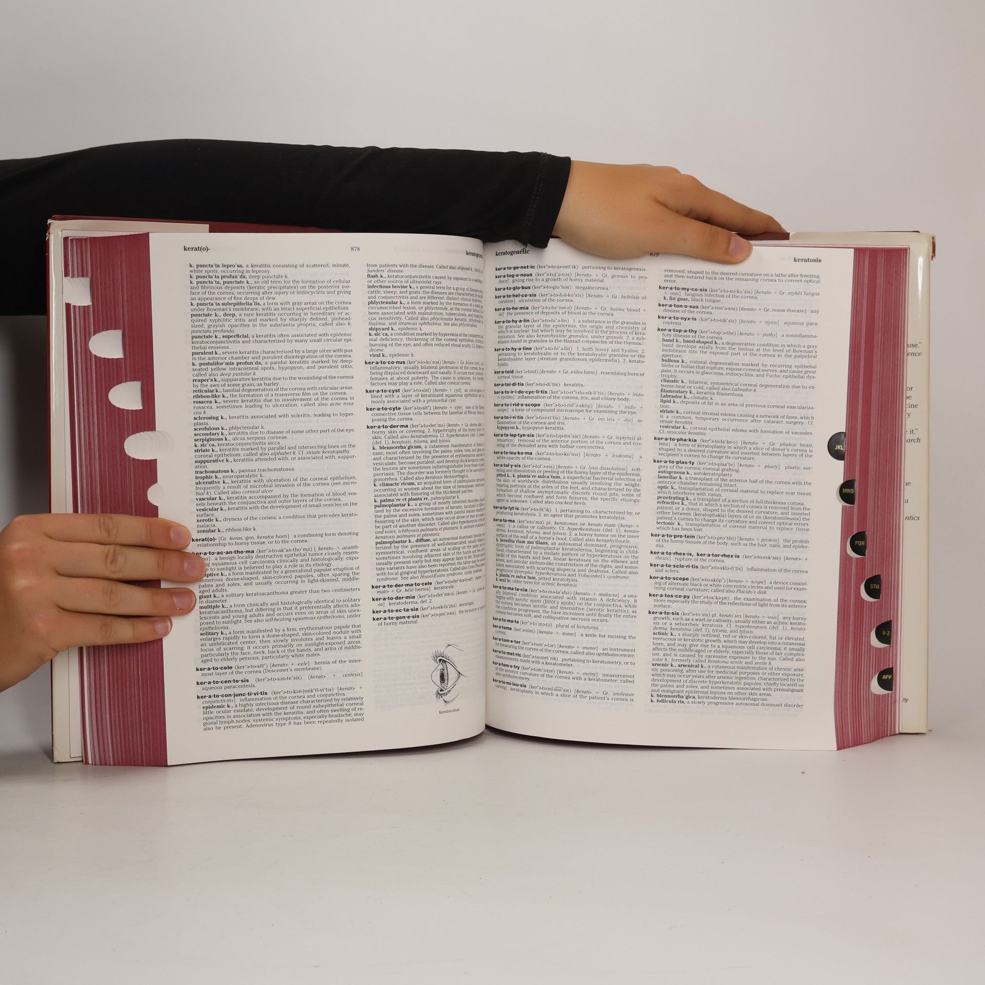 Collectif d'auteurs Dorland's illustrated medical dictionary