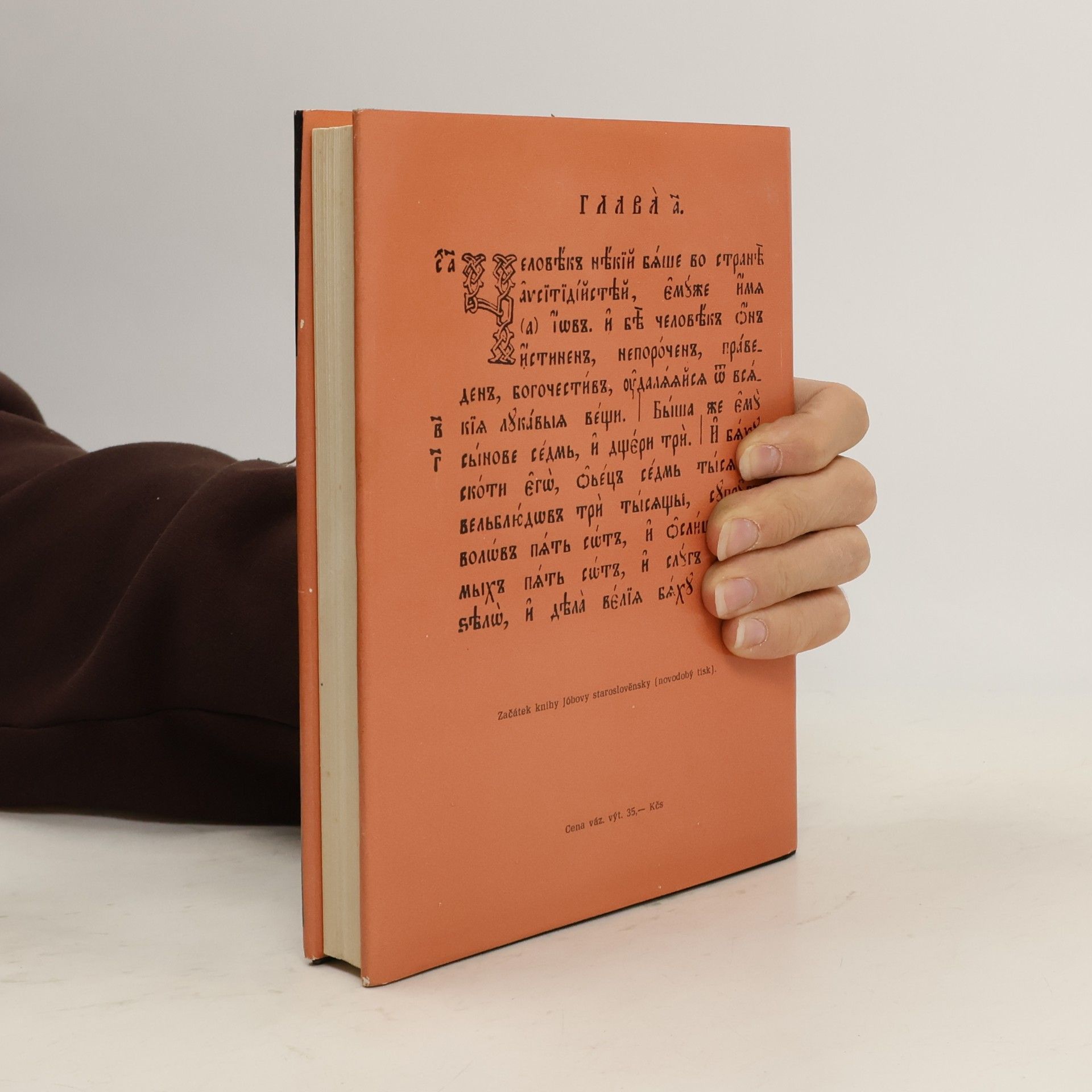 Various authors Starý zákon. Překlad s výkladem 8. Jób