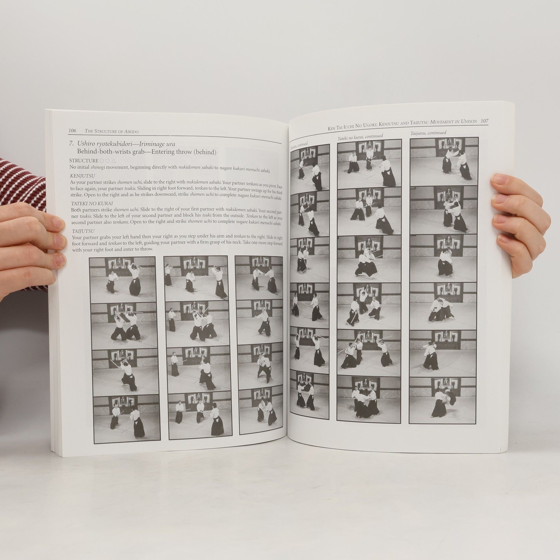 Emily Busch The Structure of Aikido