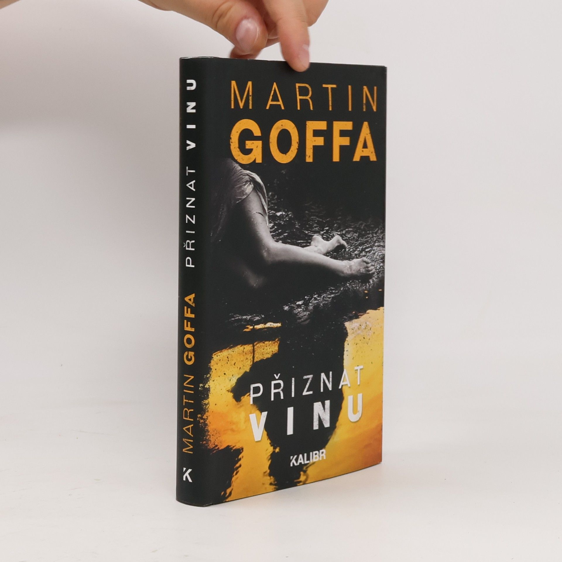 Martin Goffa Přiznat vinu