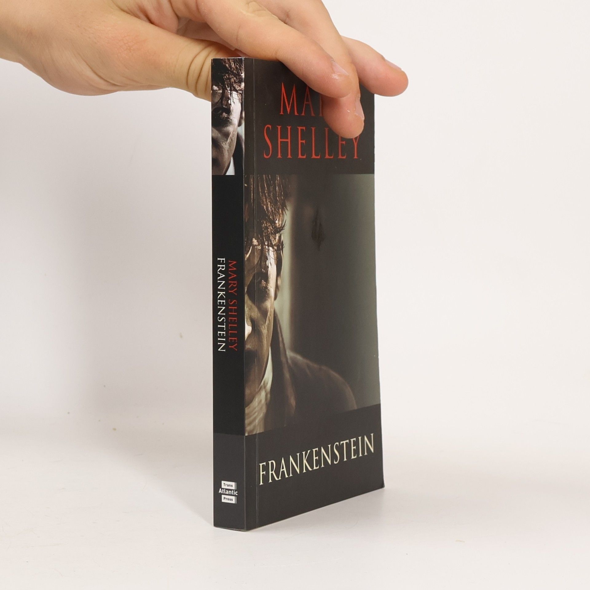 Mary Shelley Frankenstein