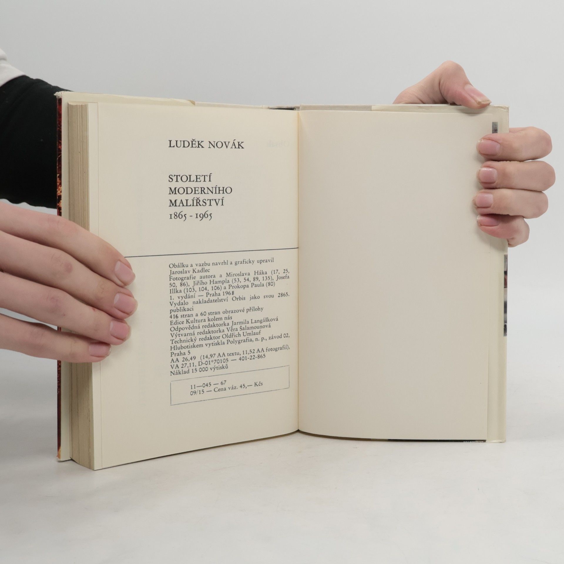 Luděk Novák Století moderního malířství 1865-1965