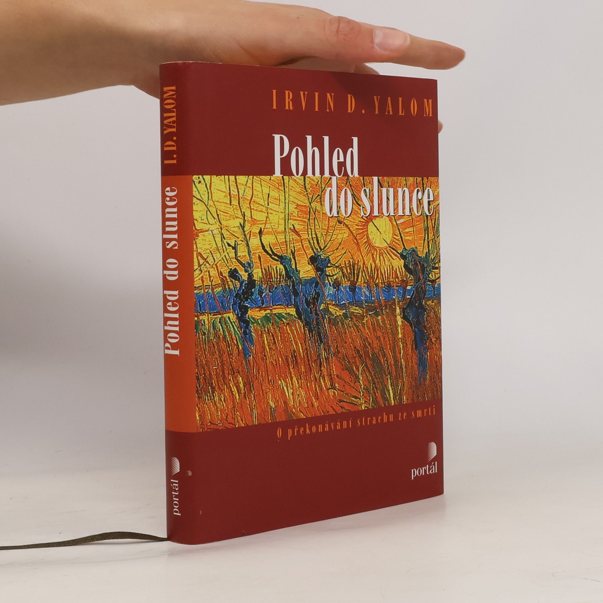Irvin Yalom Pohled do slunce