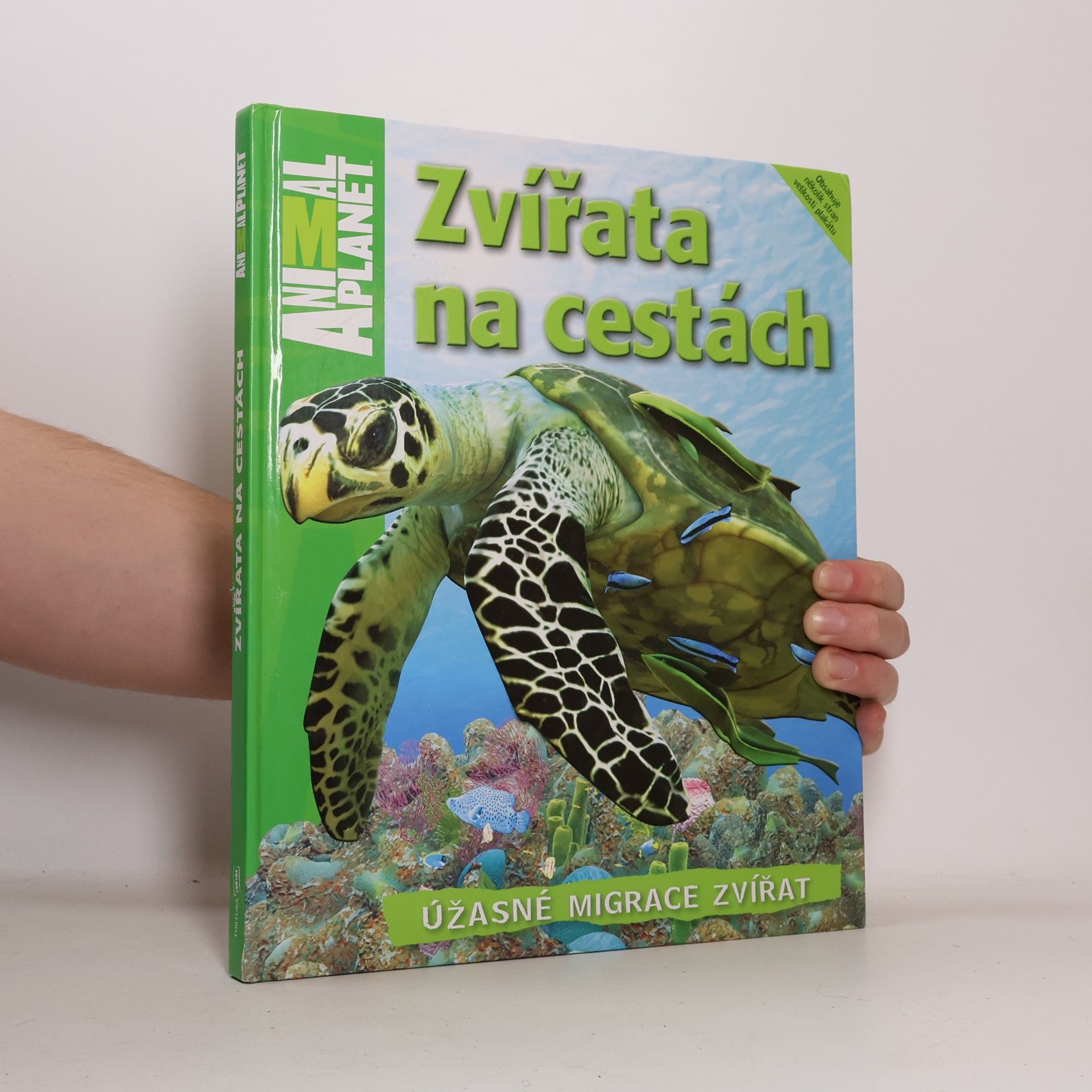 Zvířata na cestách : úžasné migrace zvířat