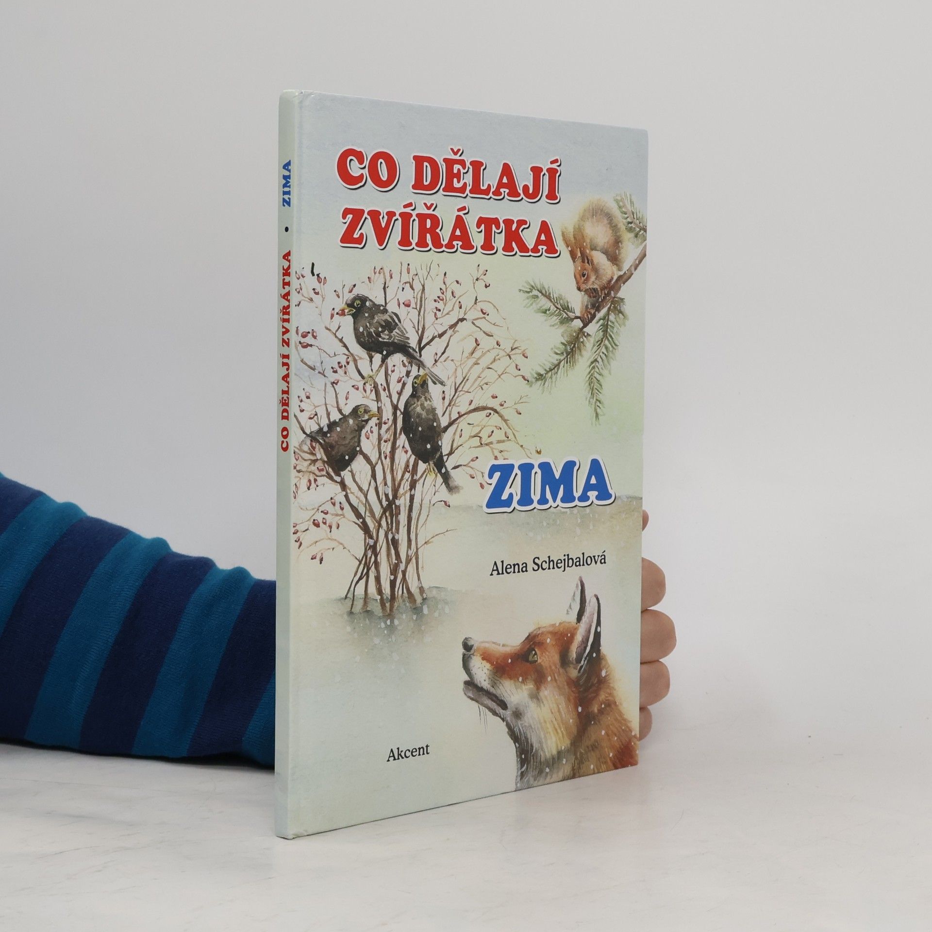 Co dělají zvířátka. Zima