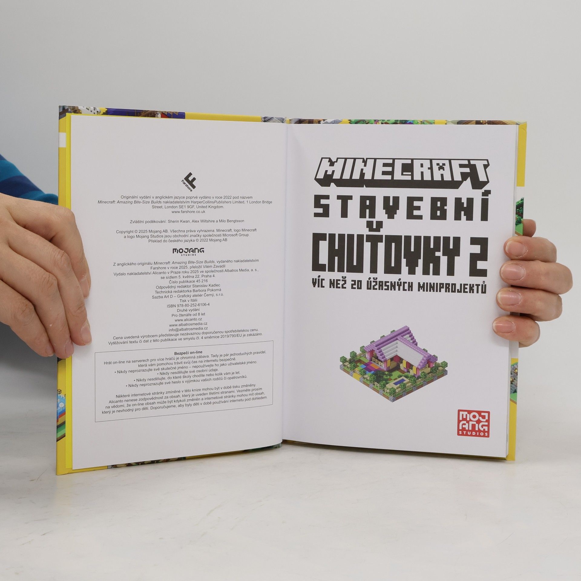 Vilém Zavadil Minecraft Stavební Chuťovky 2