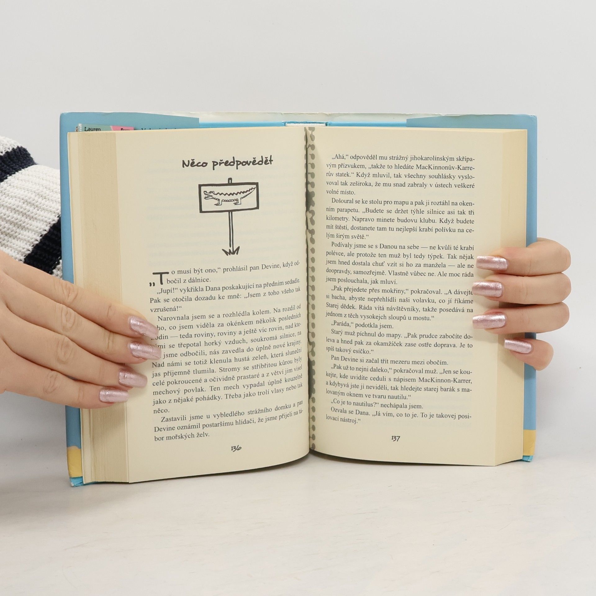 Lauren Myracle Čtrnáct