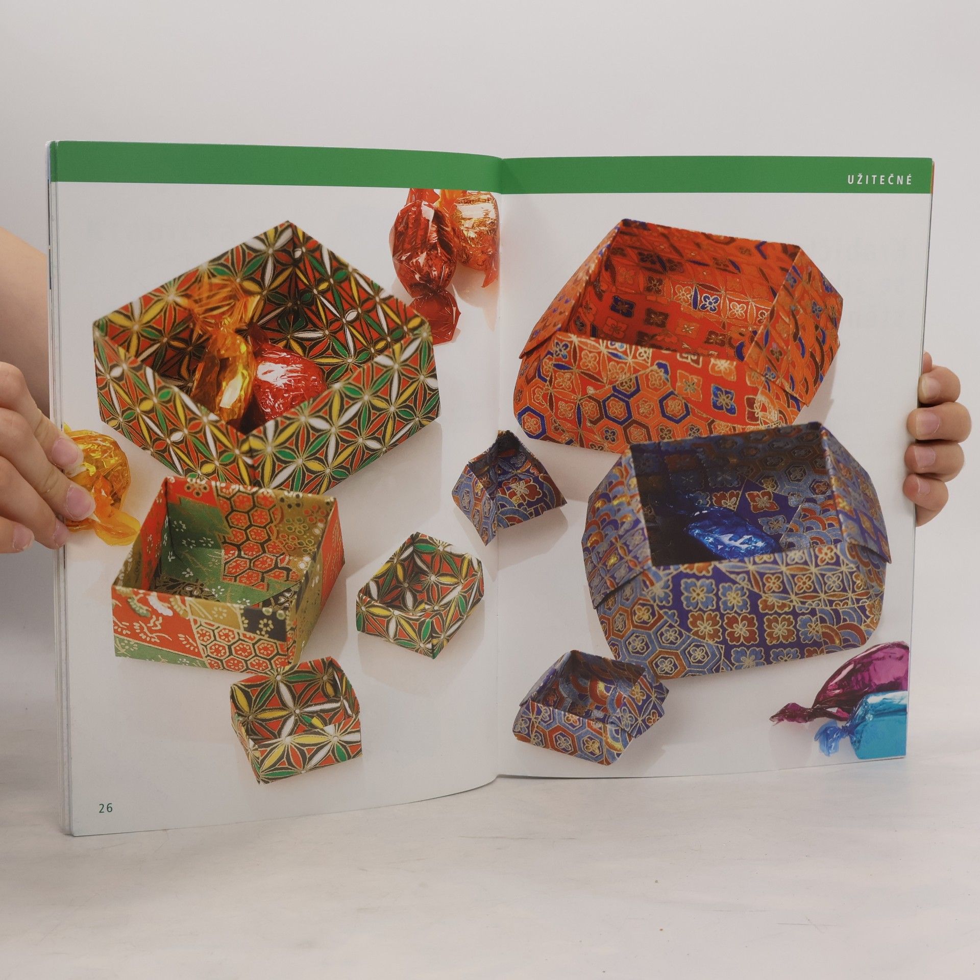 Armin Täubner Origami pro každého : od jednoduchých po náročnější