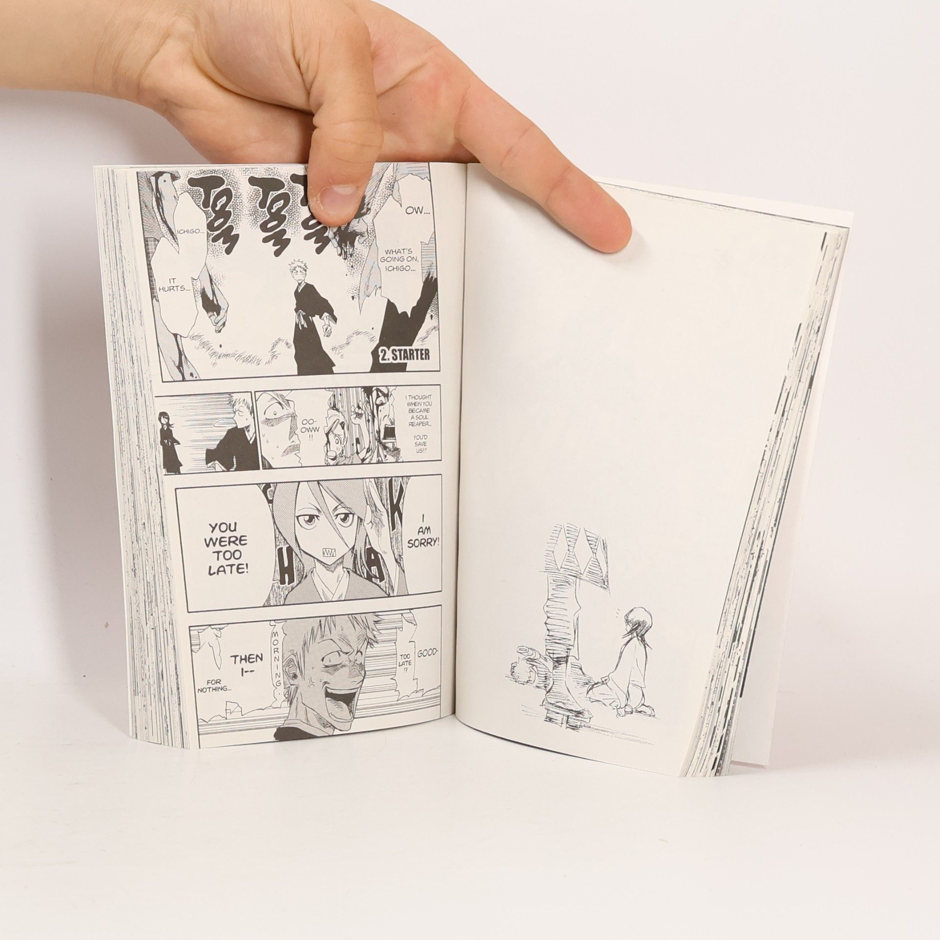 Kolektiv autorů Bleach 20th Anniversary Edition, Vol. 1