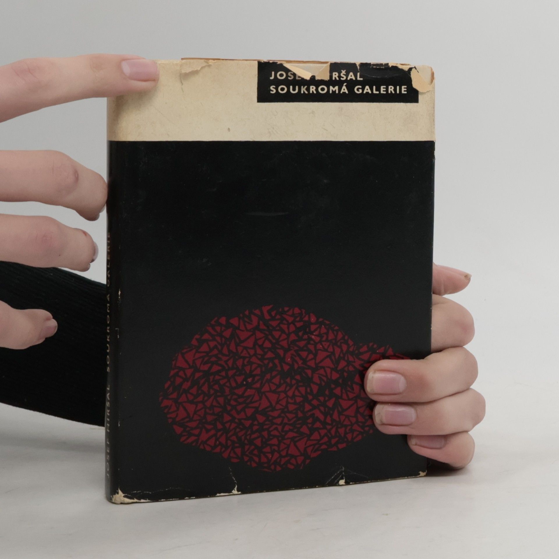 Josef Hiršal Soukromá galerie. Poezie z let 1947-1954