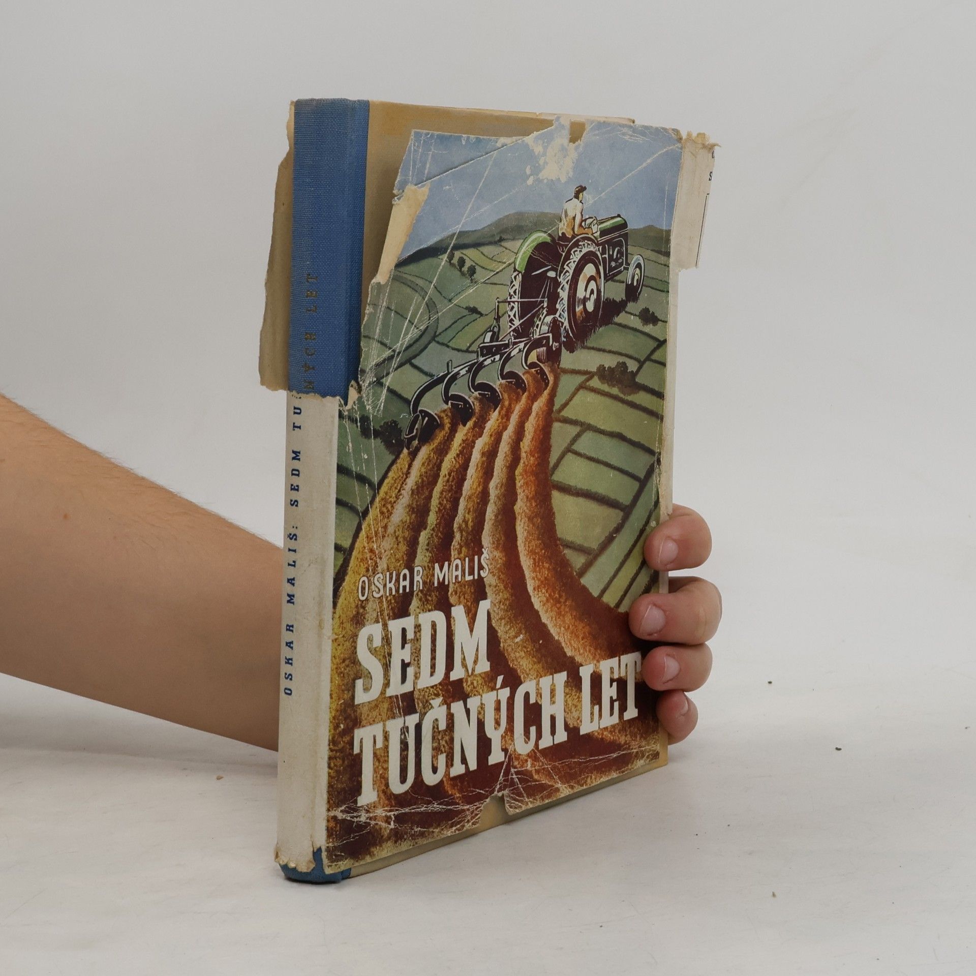 Sedm tučných let