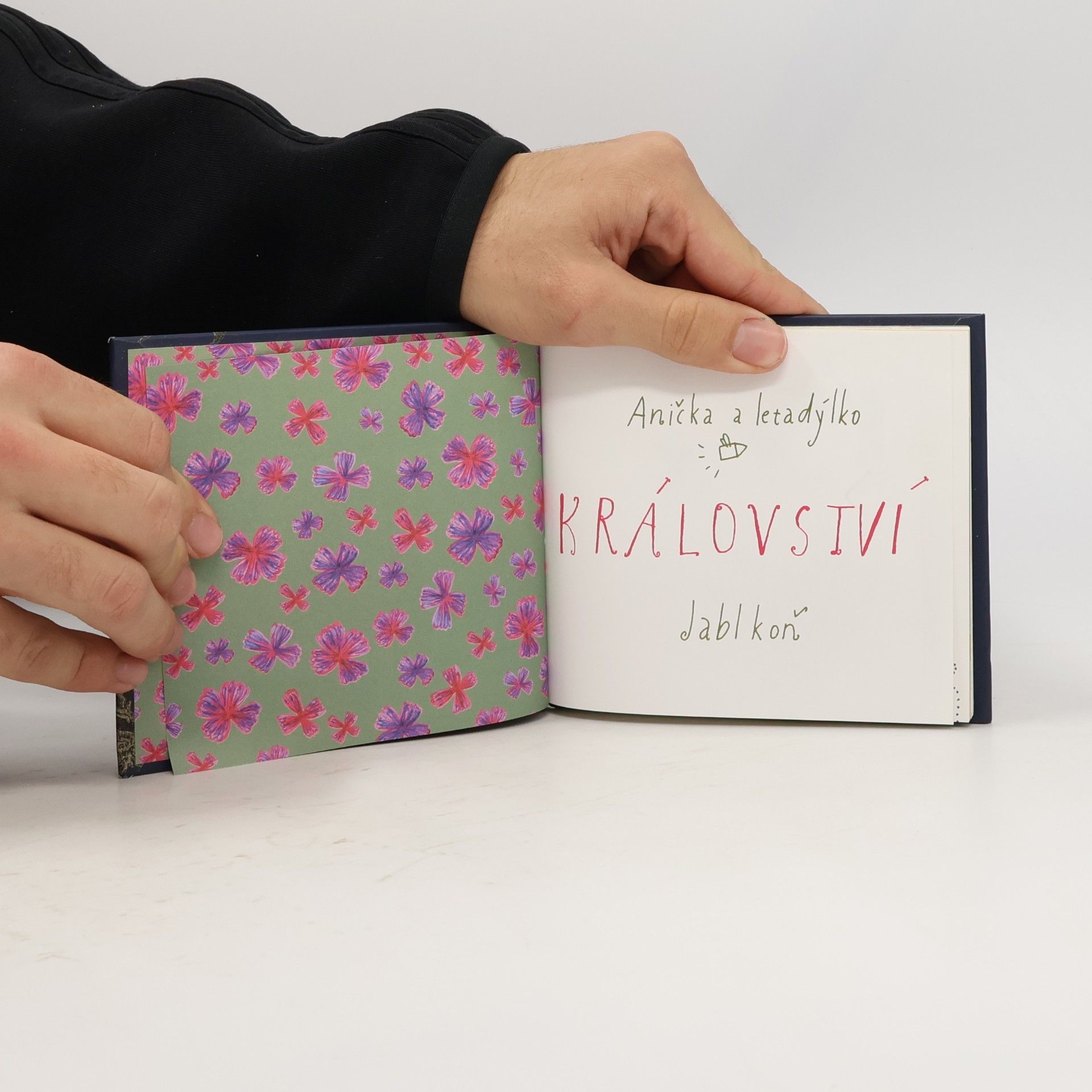 kolektiv Království. Jablkoň Anička a letadýlko