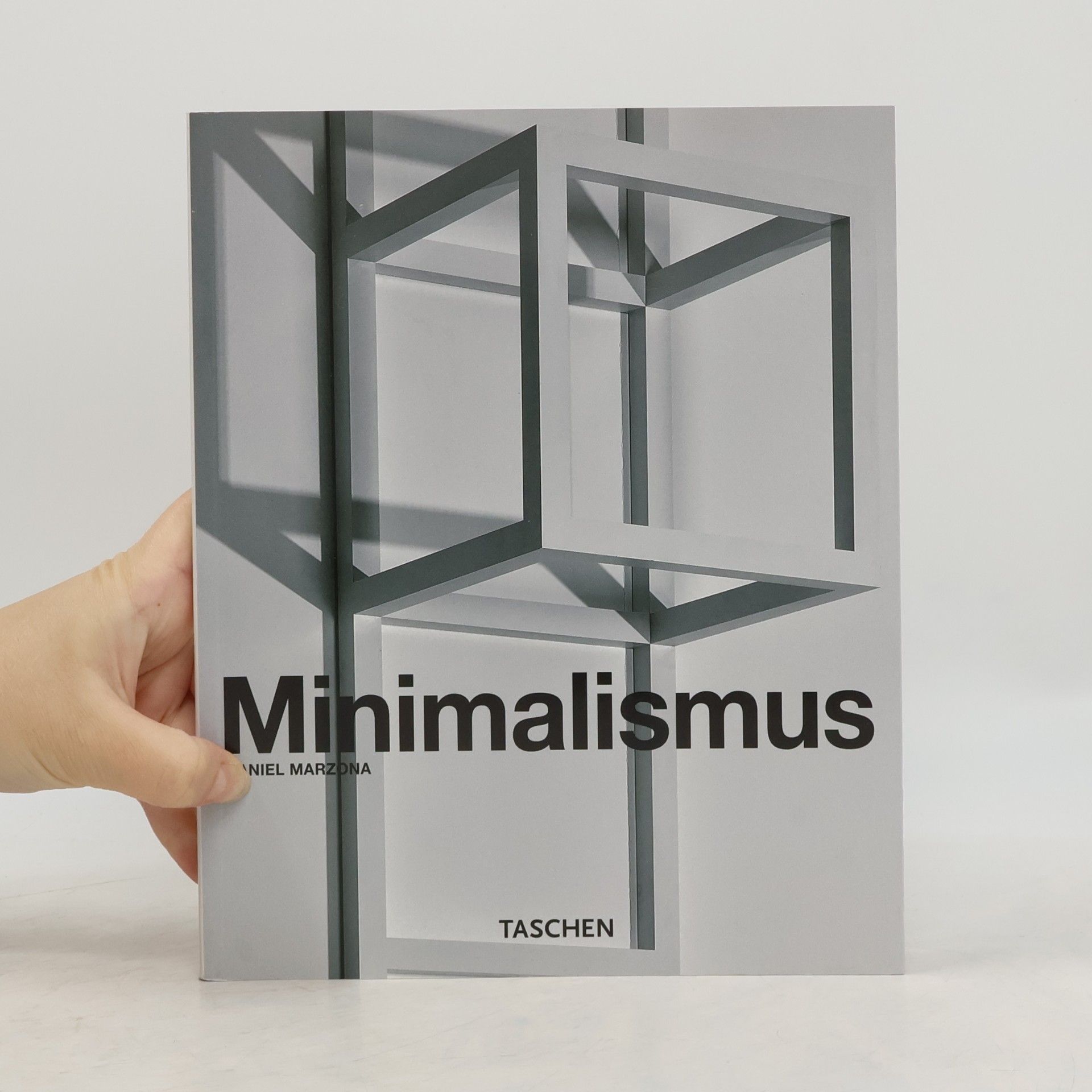 Daniel Marzona Minimalismus