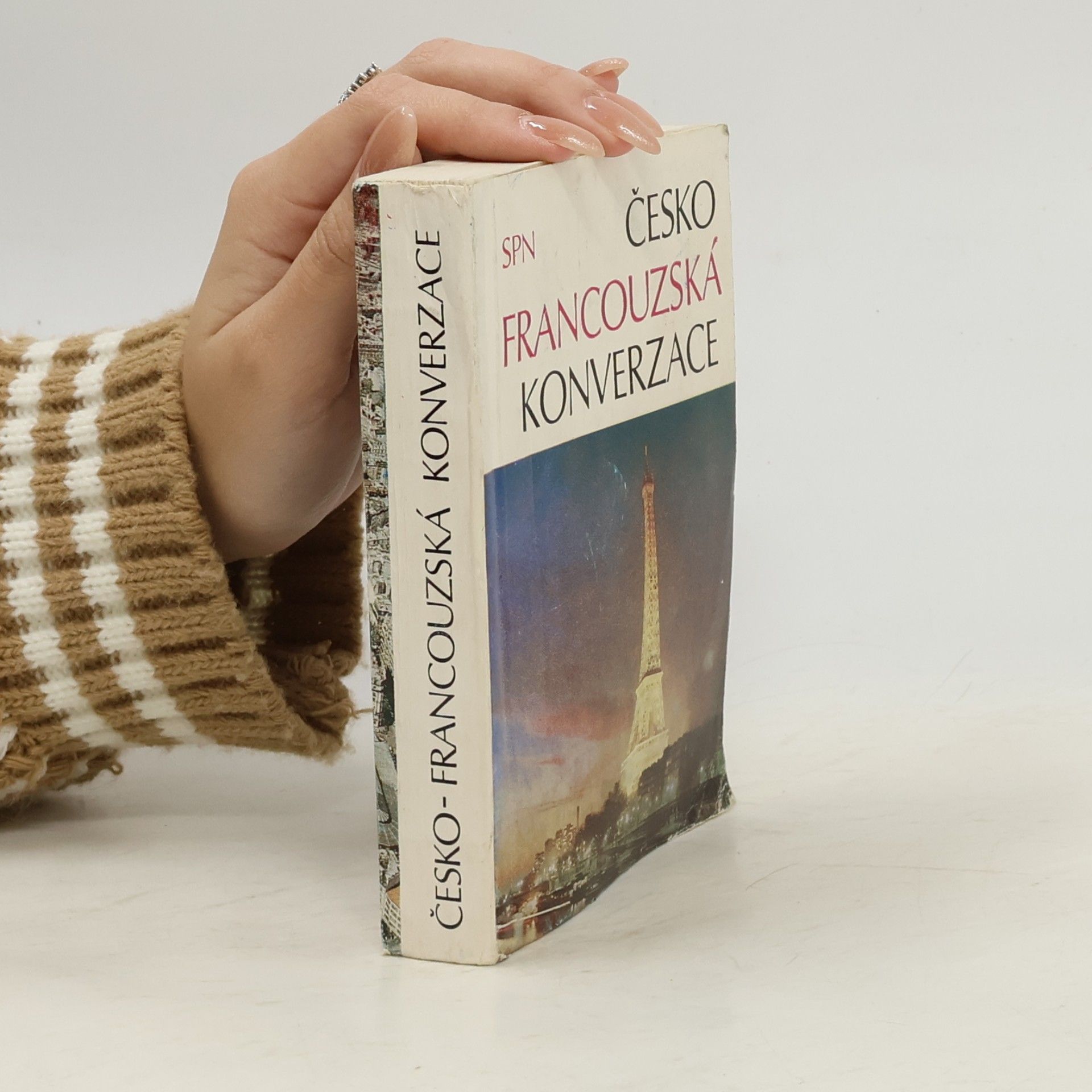 Kolektiv autorů Česko francouzská konverzace