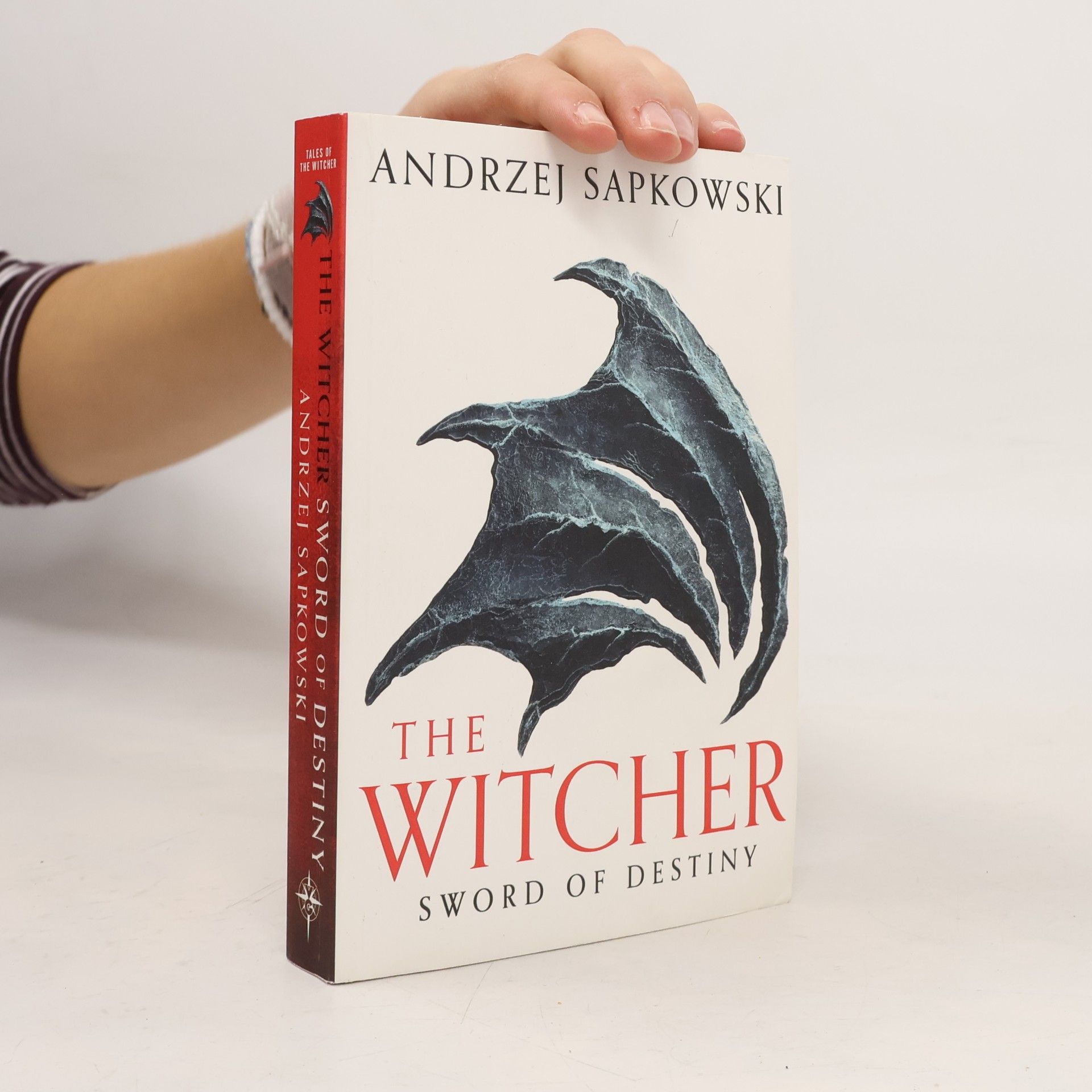 Andrzej Sapkowski The Witcher. Sword of Destiny