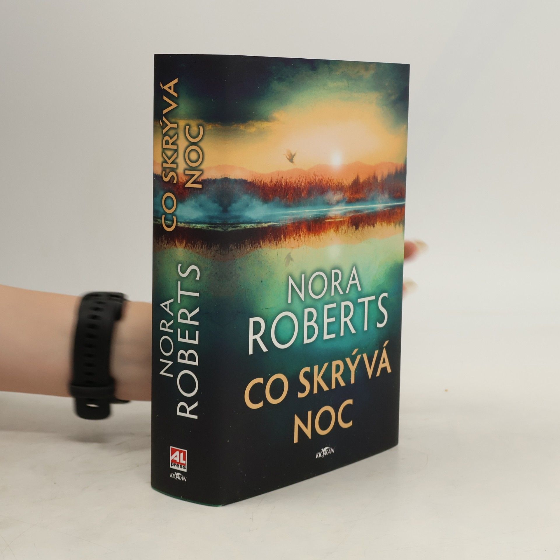 Nora Roberts Co skrývá noc