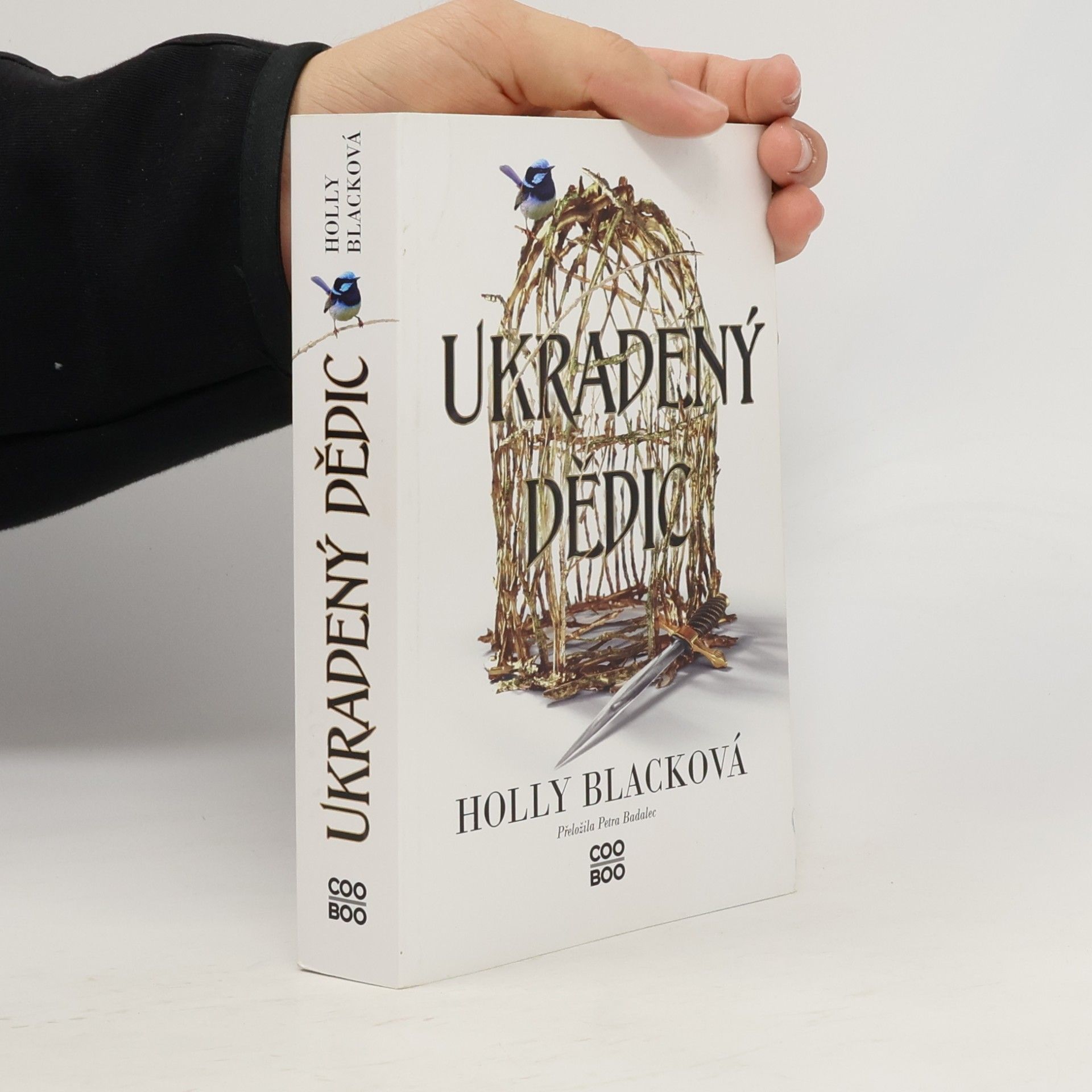 Ukradený dědic