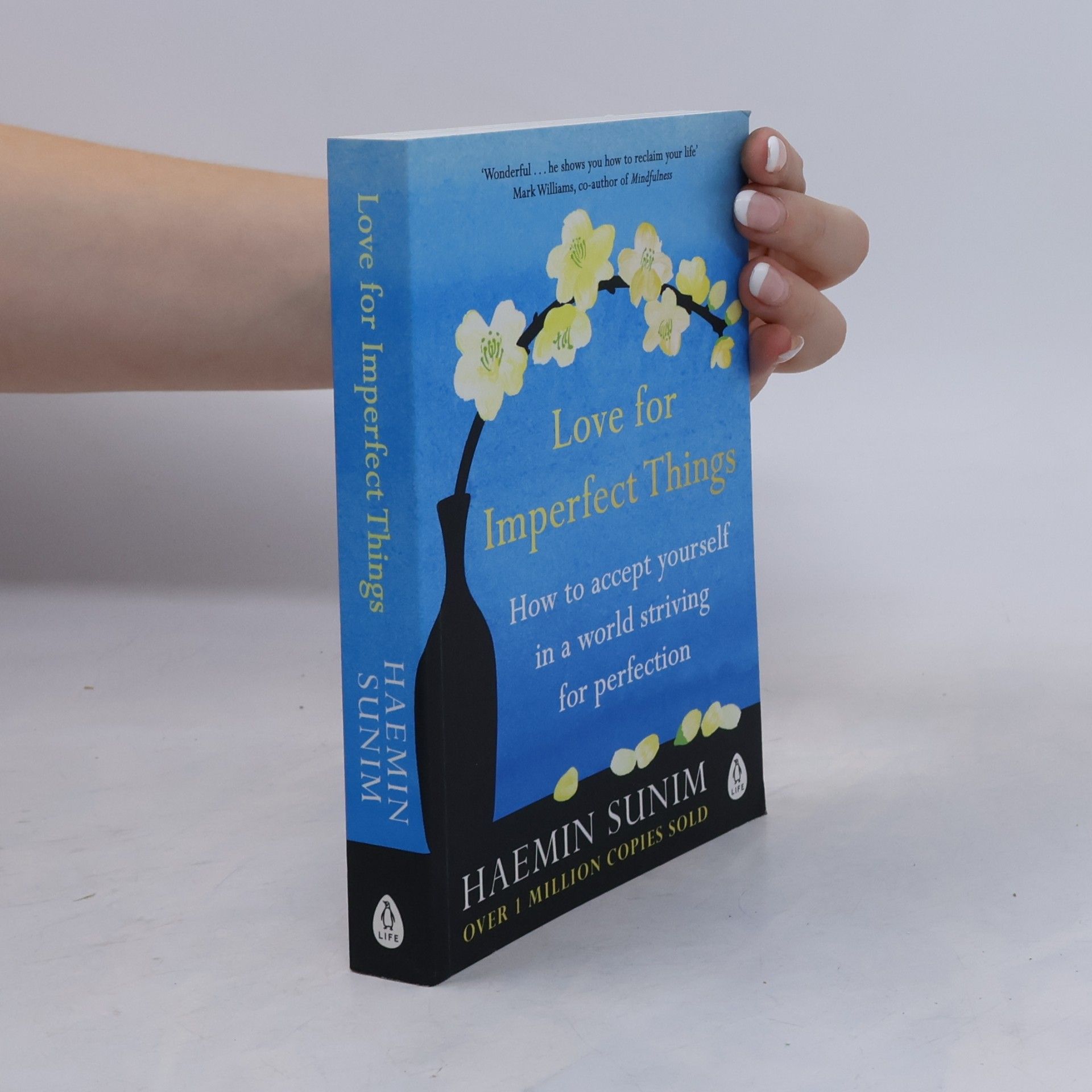 Haenim Sunim Love for Imperfect Things