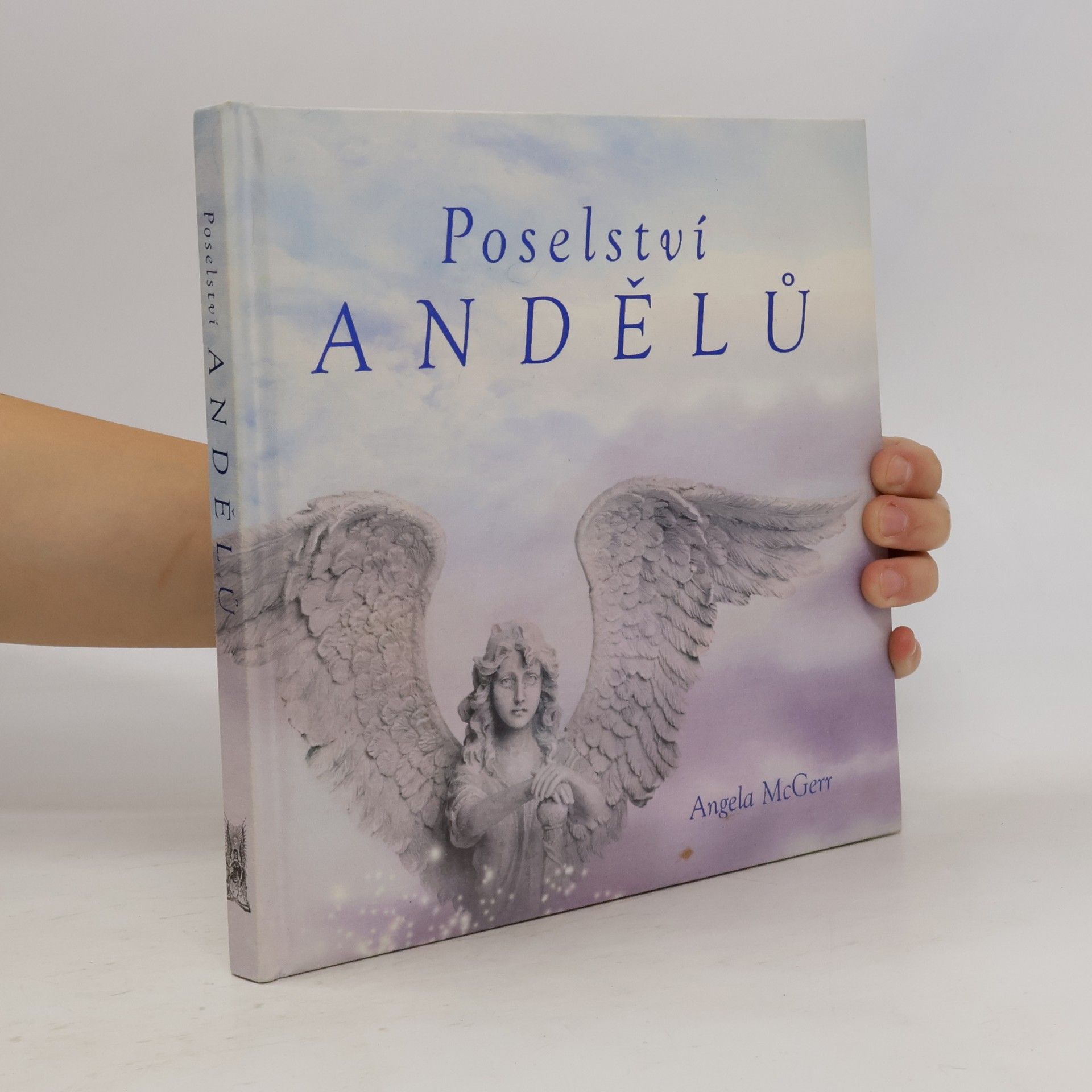 Angela McGerr Poselství andělů