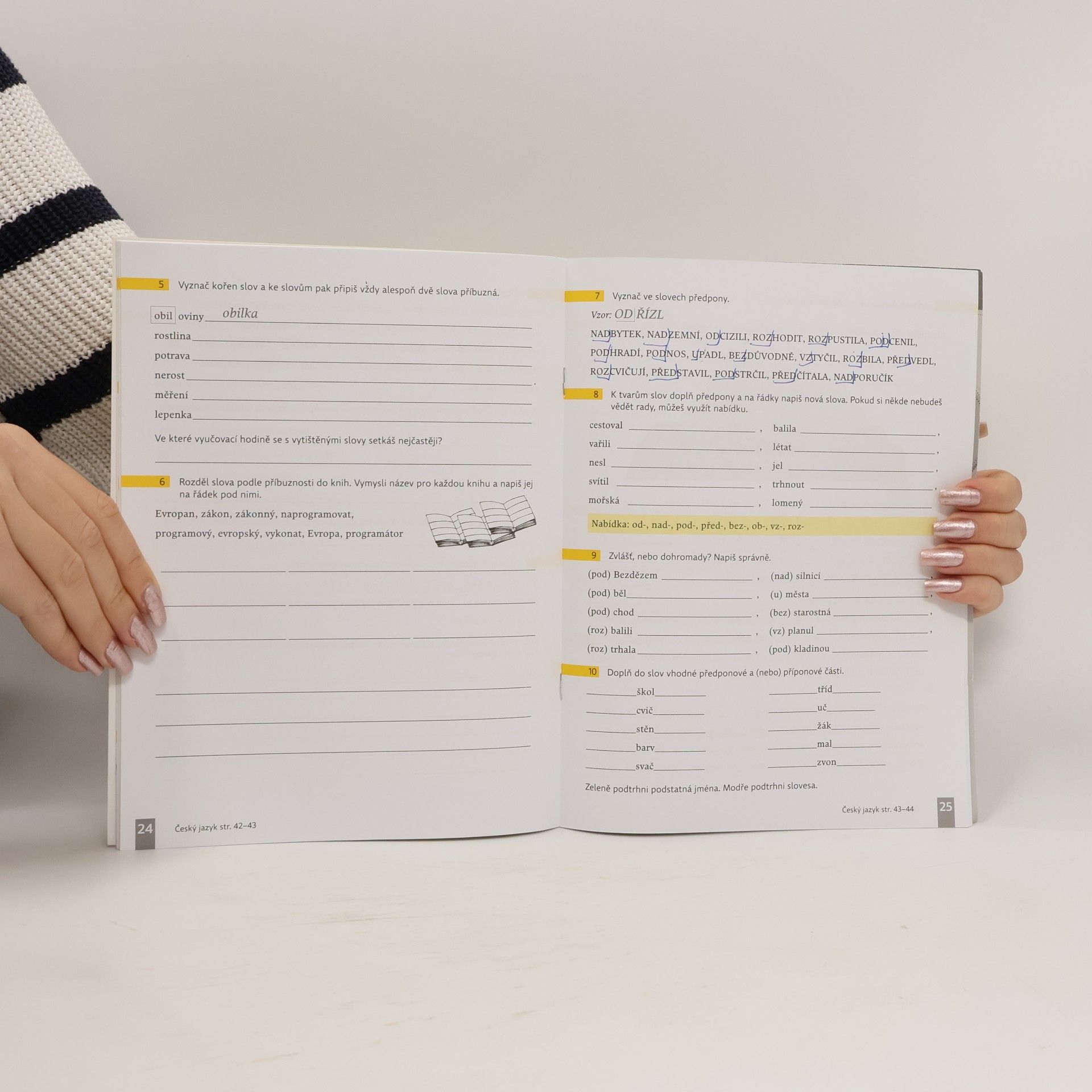 Autorenkollektiv Český jazyk 4/1 - Pracovní sešit
