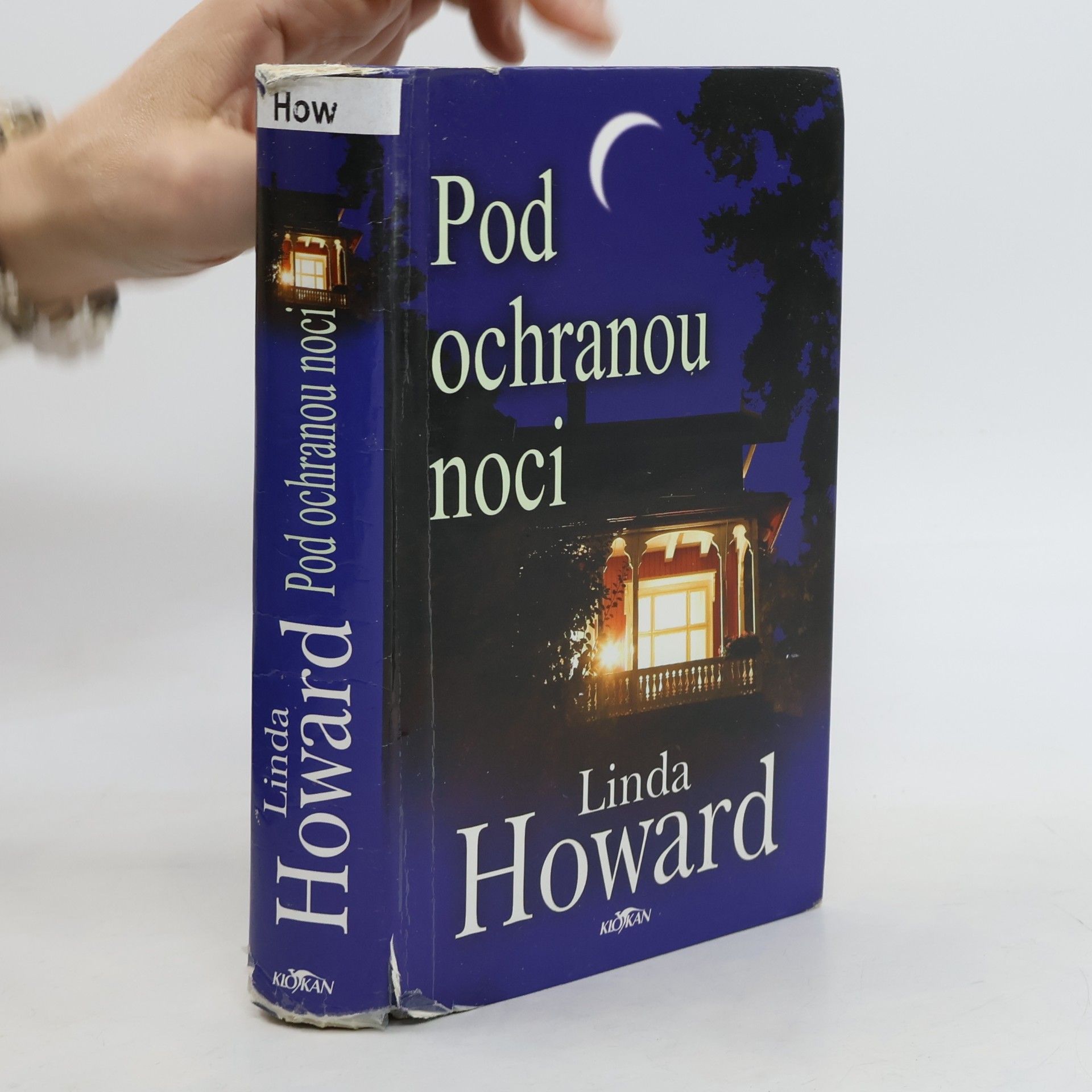 Linda Howard Pod ochranou noci