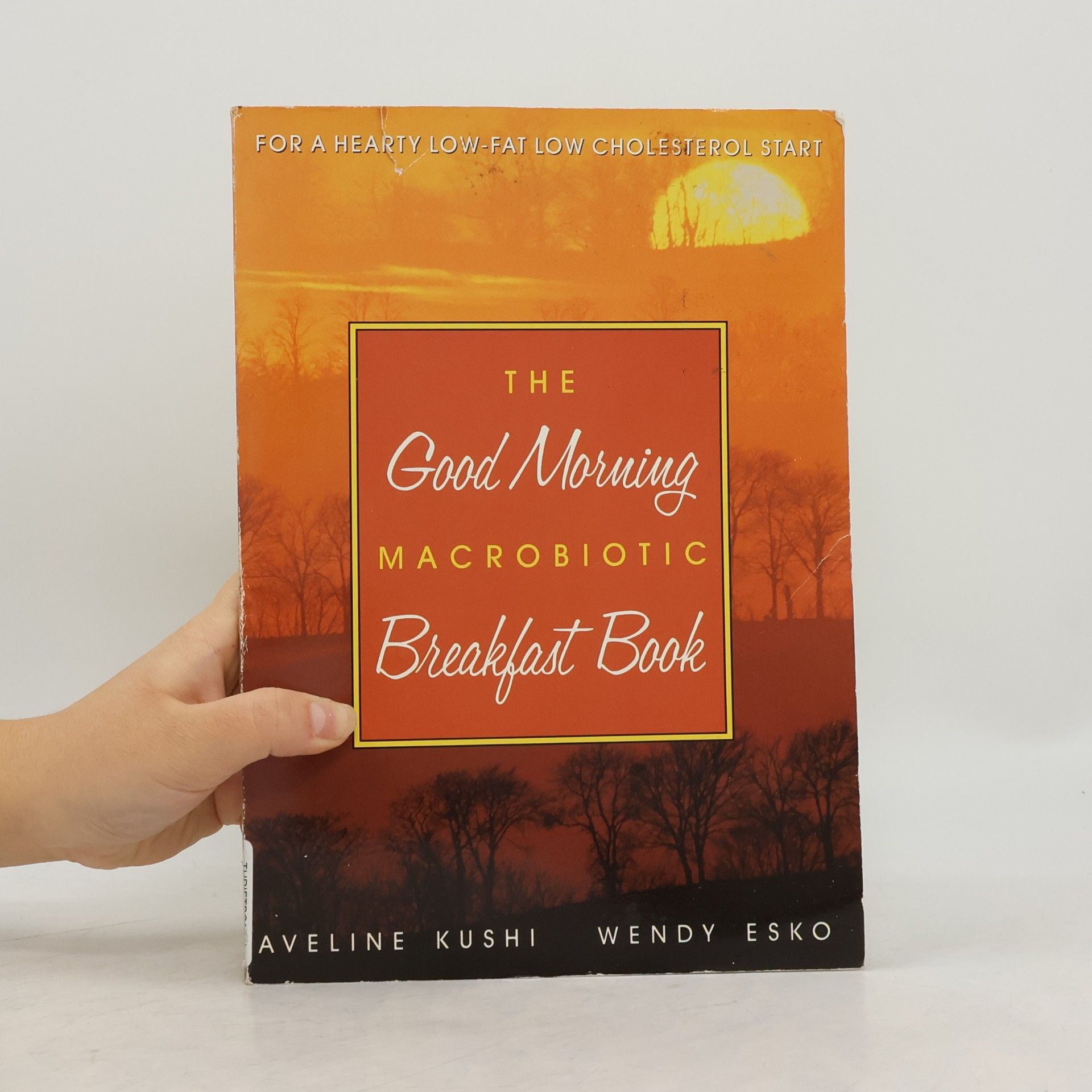 Wendy Esko The Good Morning Macrobiotic Breakfast Book