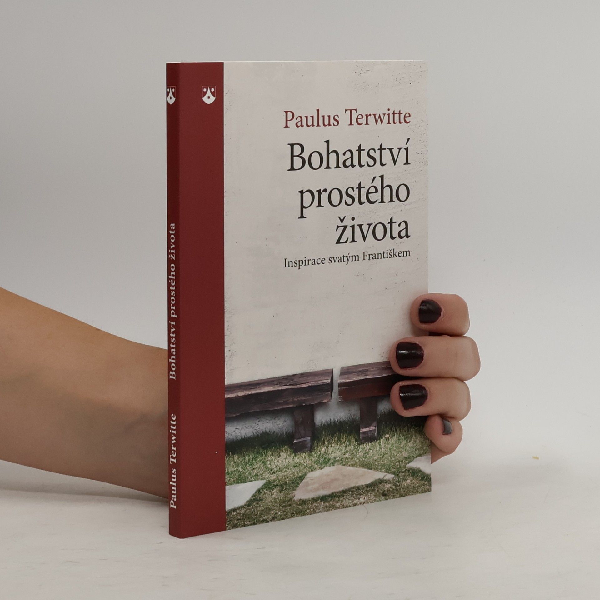 Paulus Terwitte Bohatství prostého života: Inspirace svatým Františkem