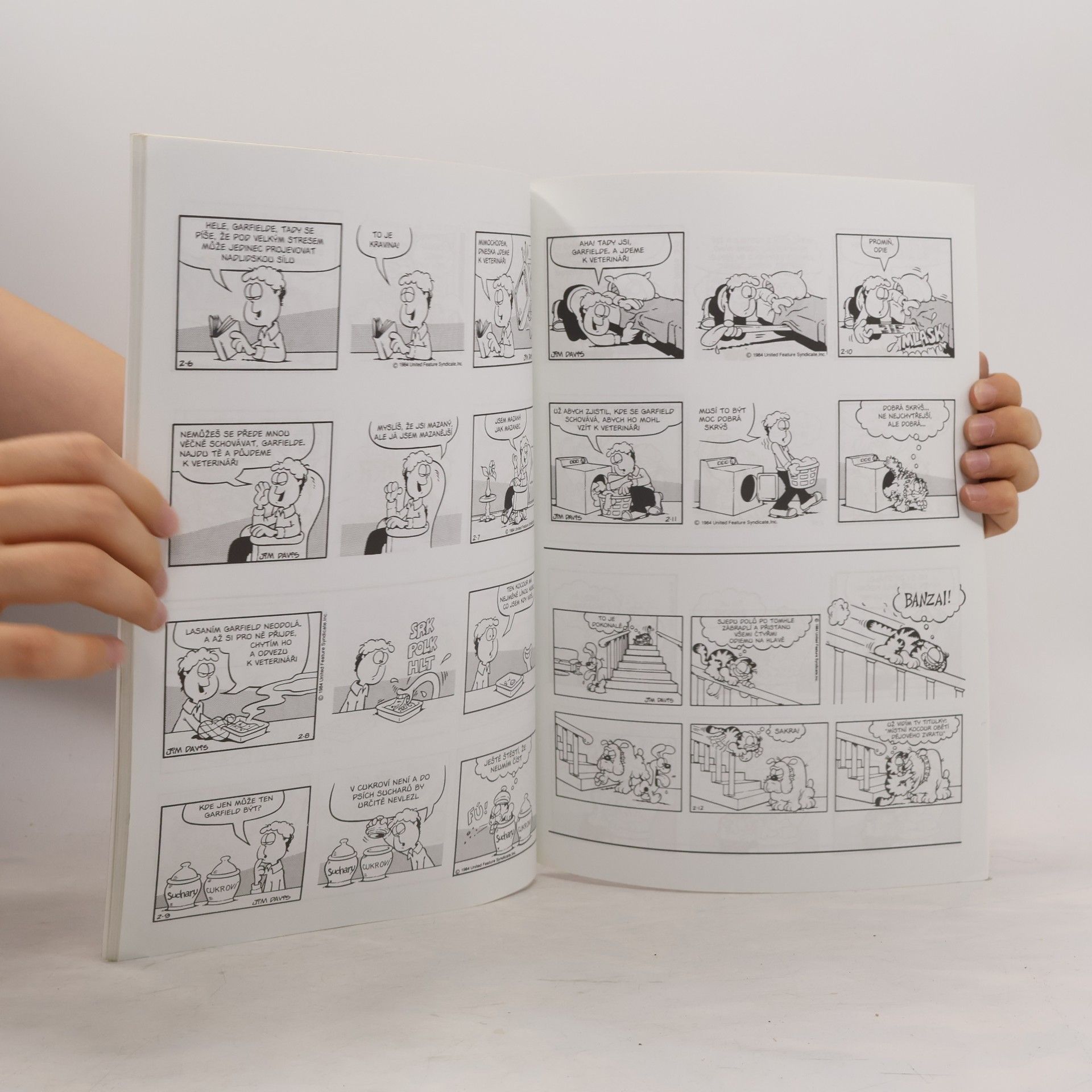 Jim Davis Garfield není troškař