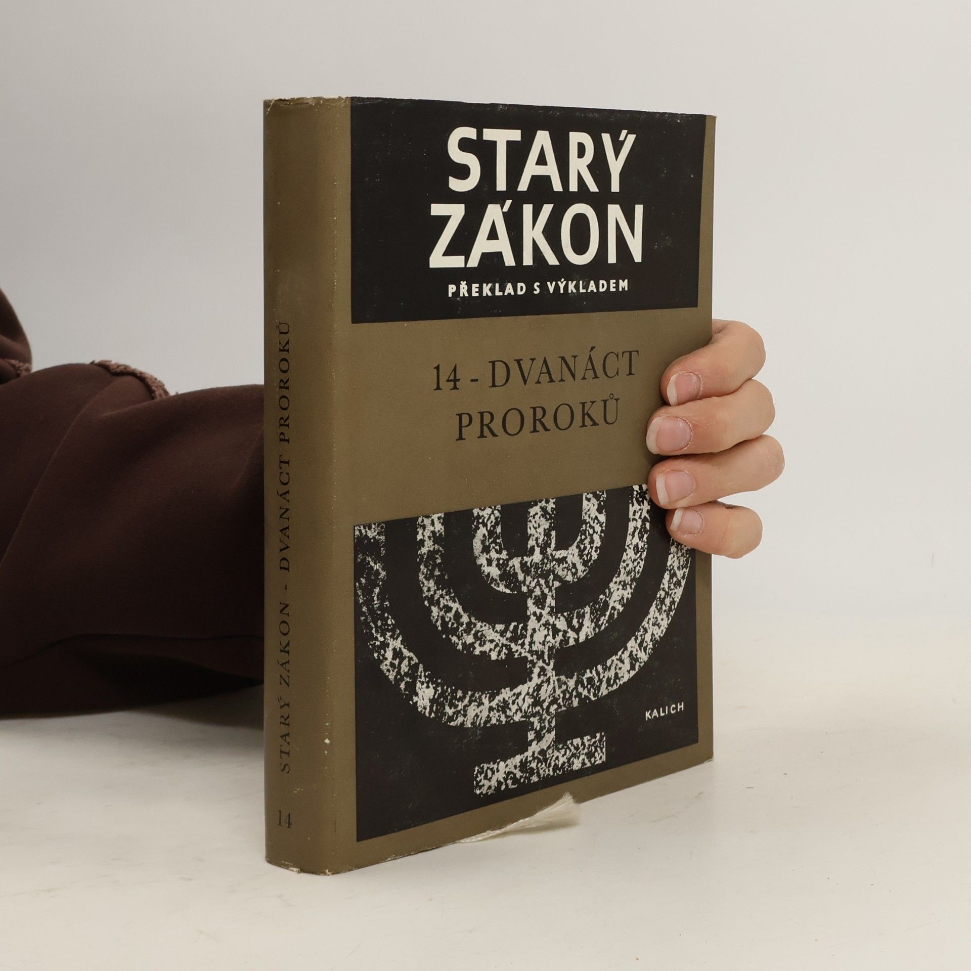 kolektiv Starý zákon: Překlad s výkladem