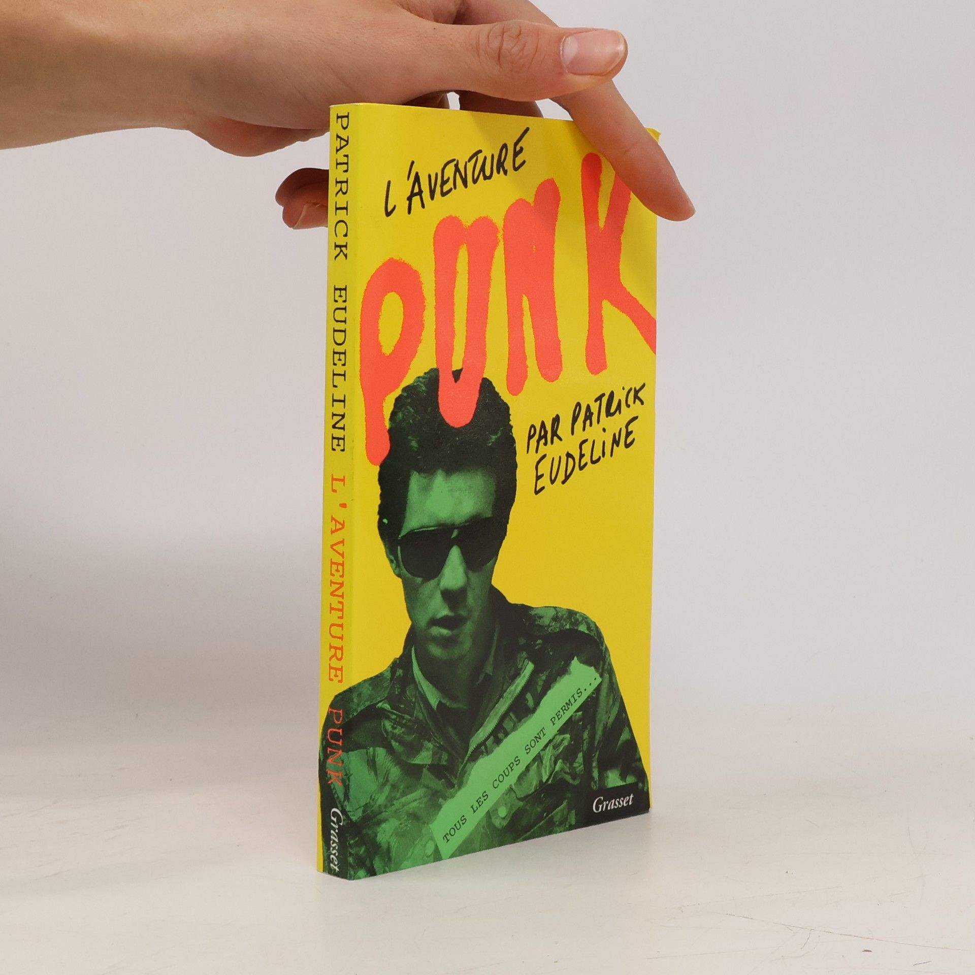 Patrick Eudeline L'aventure Punk