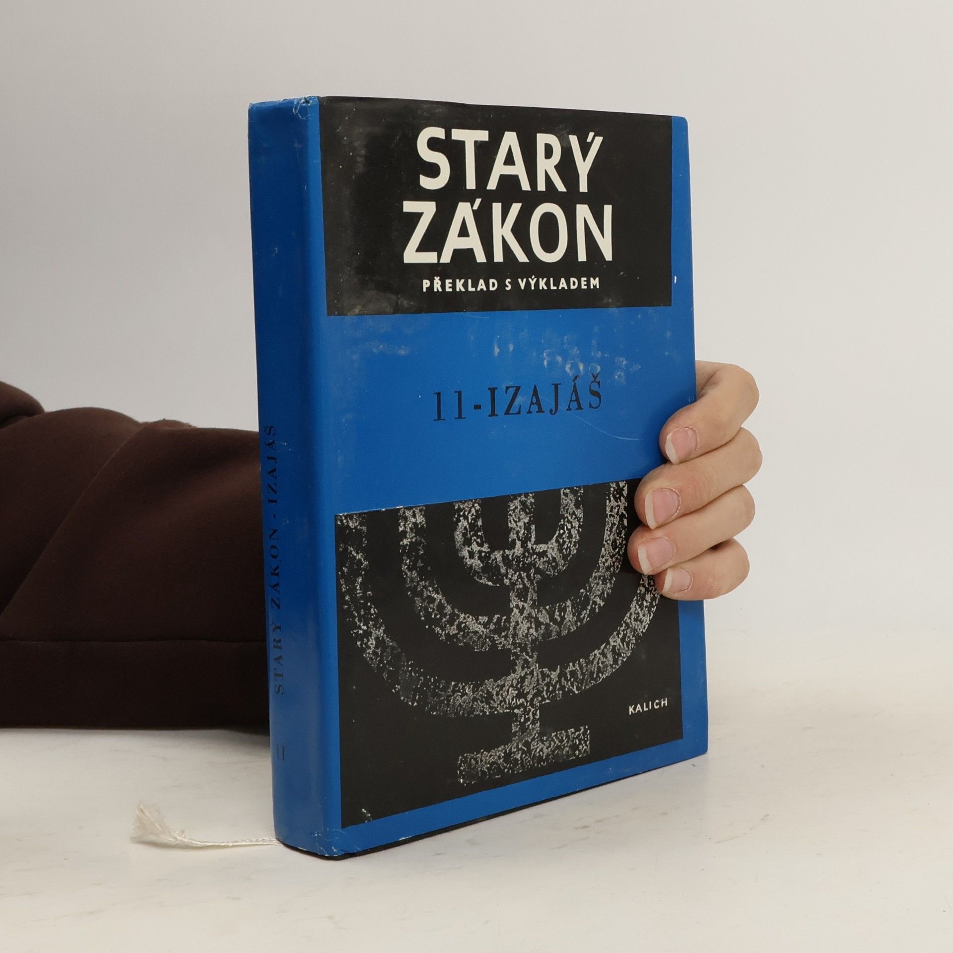 Kolektiv autorů Starý Zákon 11. Izajáš
