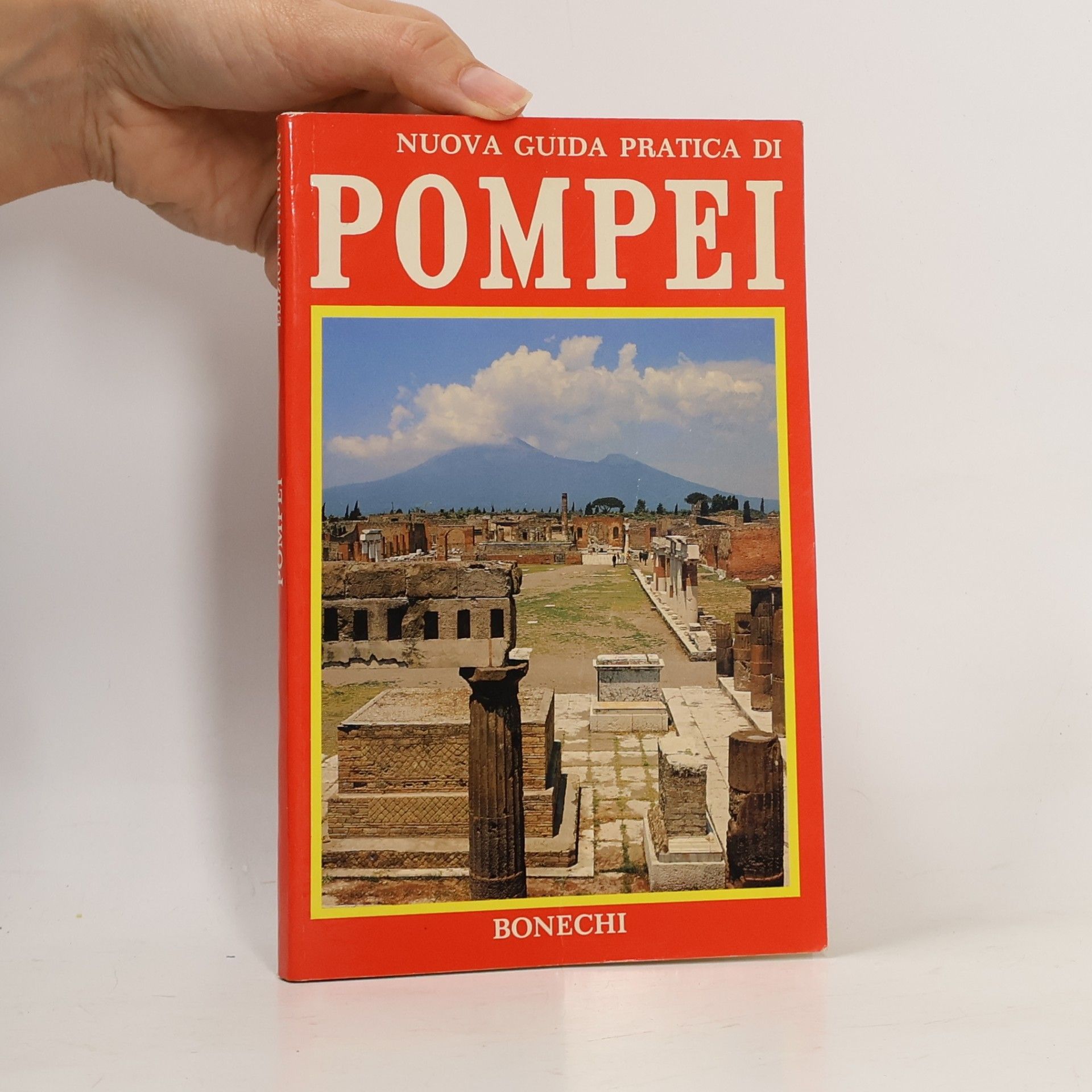 kolektiv Nuova guida pratica di Pompei