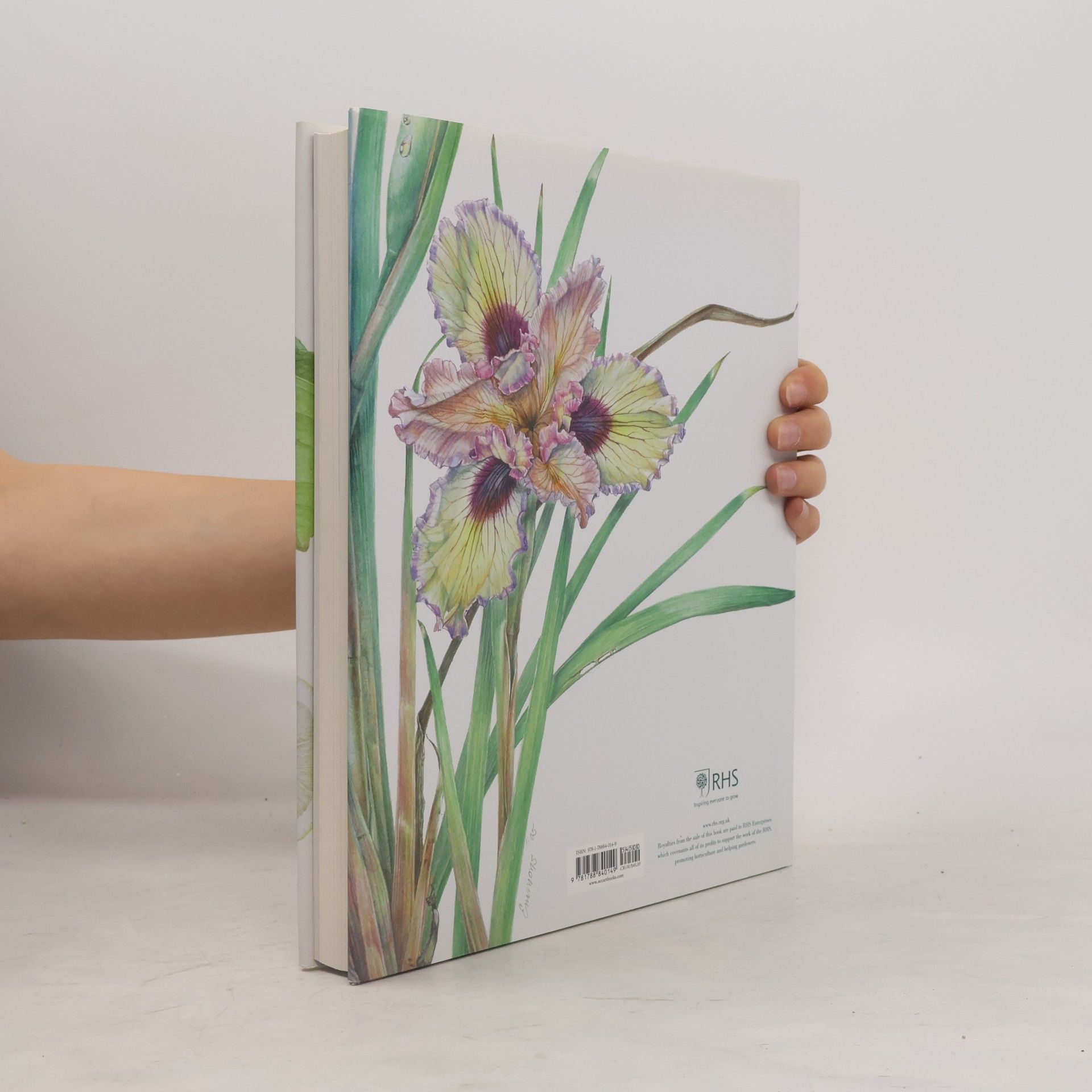 Charlotte Brooks RHS Botanical Illustration