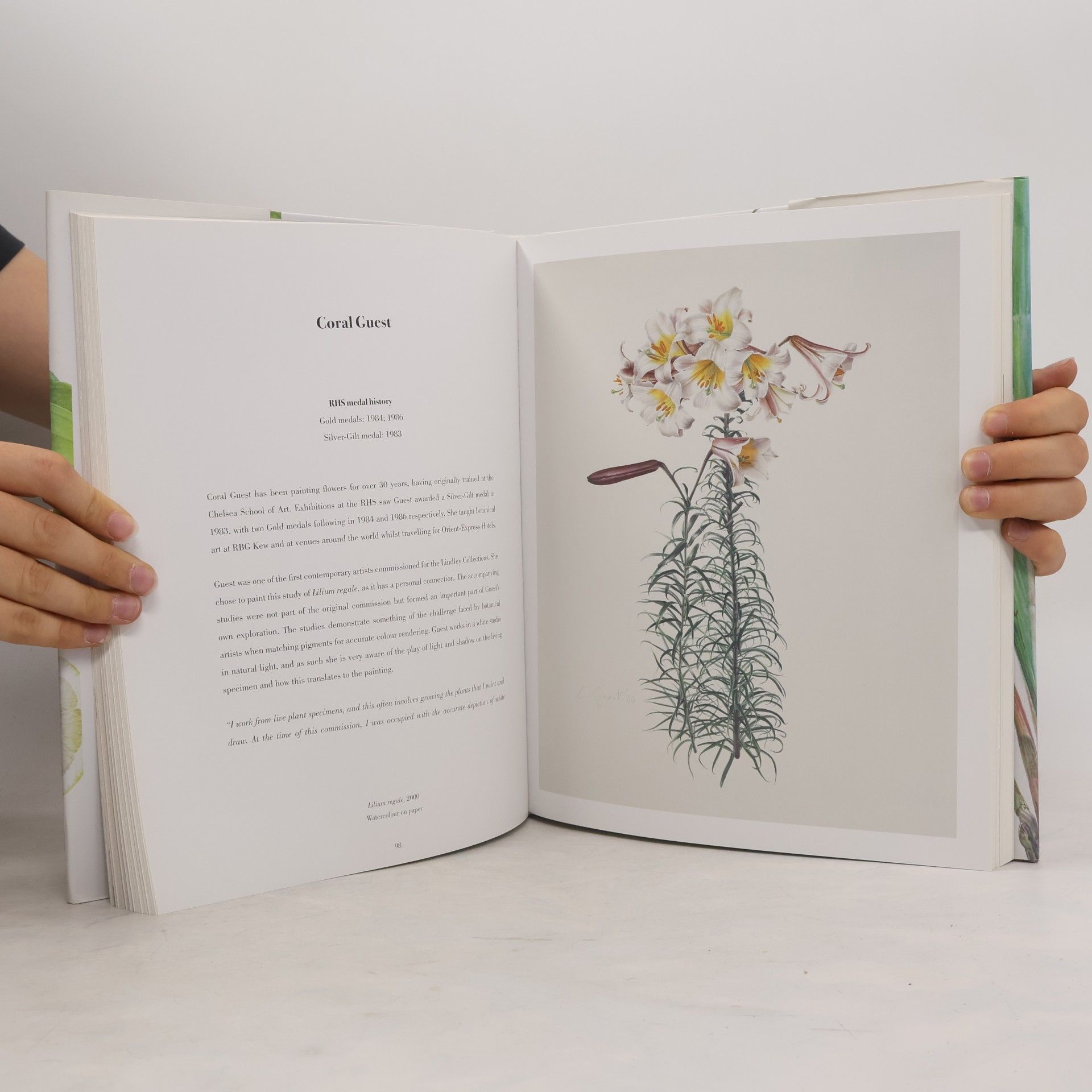 Charlotte Brooks RHS Botanical Illustration