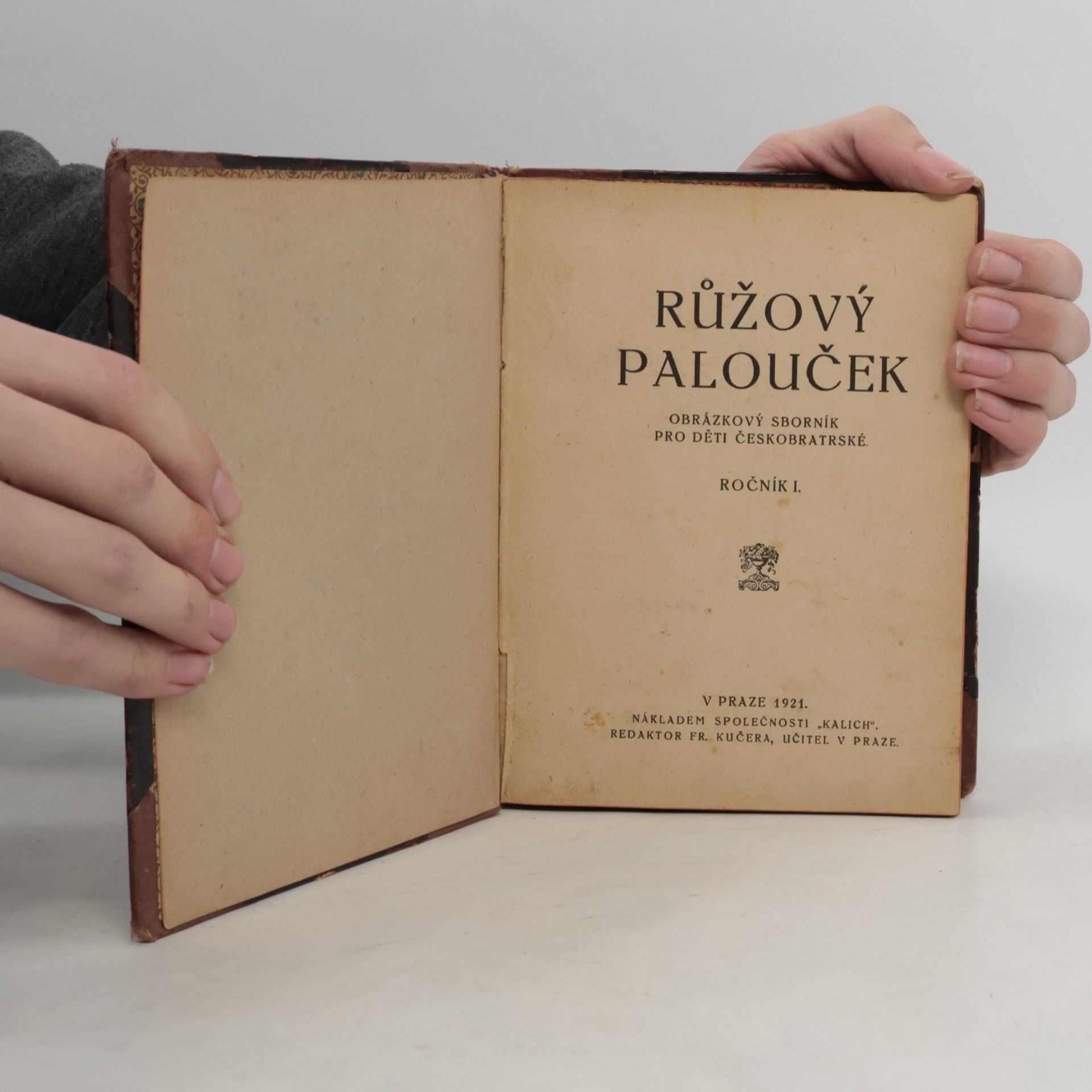 kolektiv Růžový palouček I.