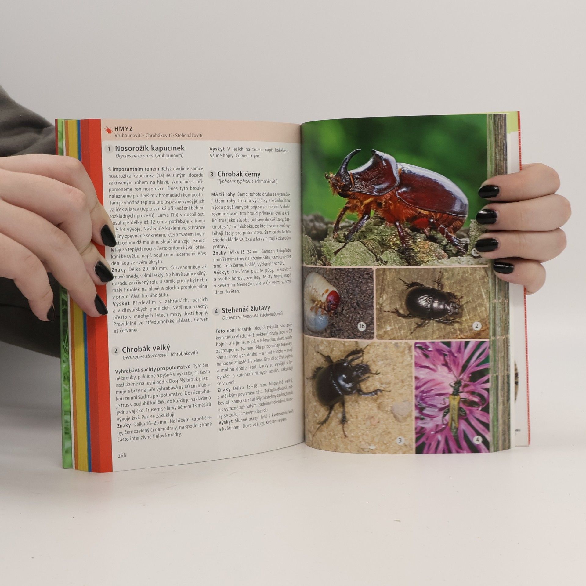 Heiko Bellmann Atlas živočichů