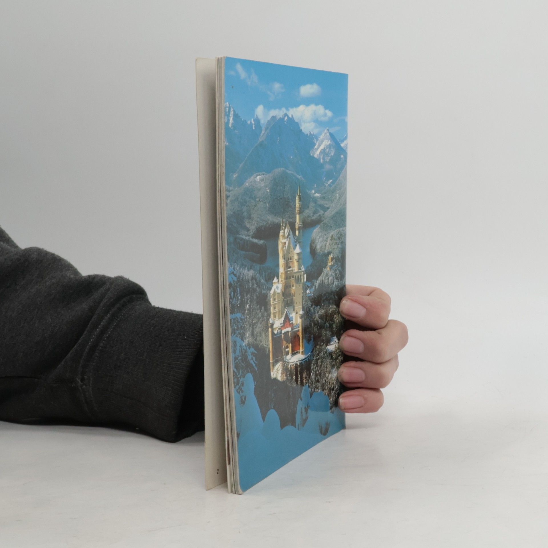 Julius Desing Königsschloss Neuschwanstein. Der König und sein Schloss