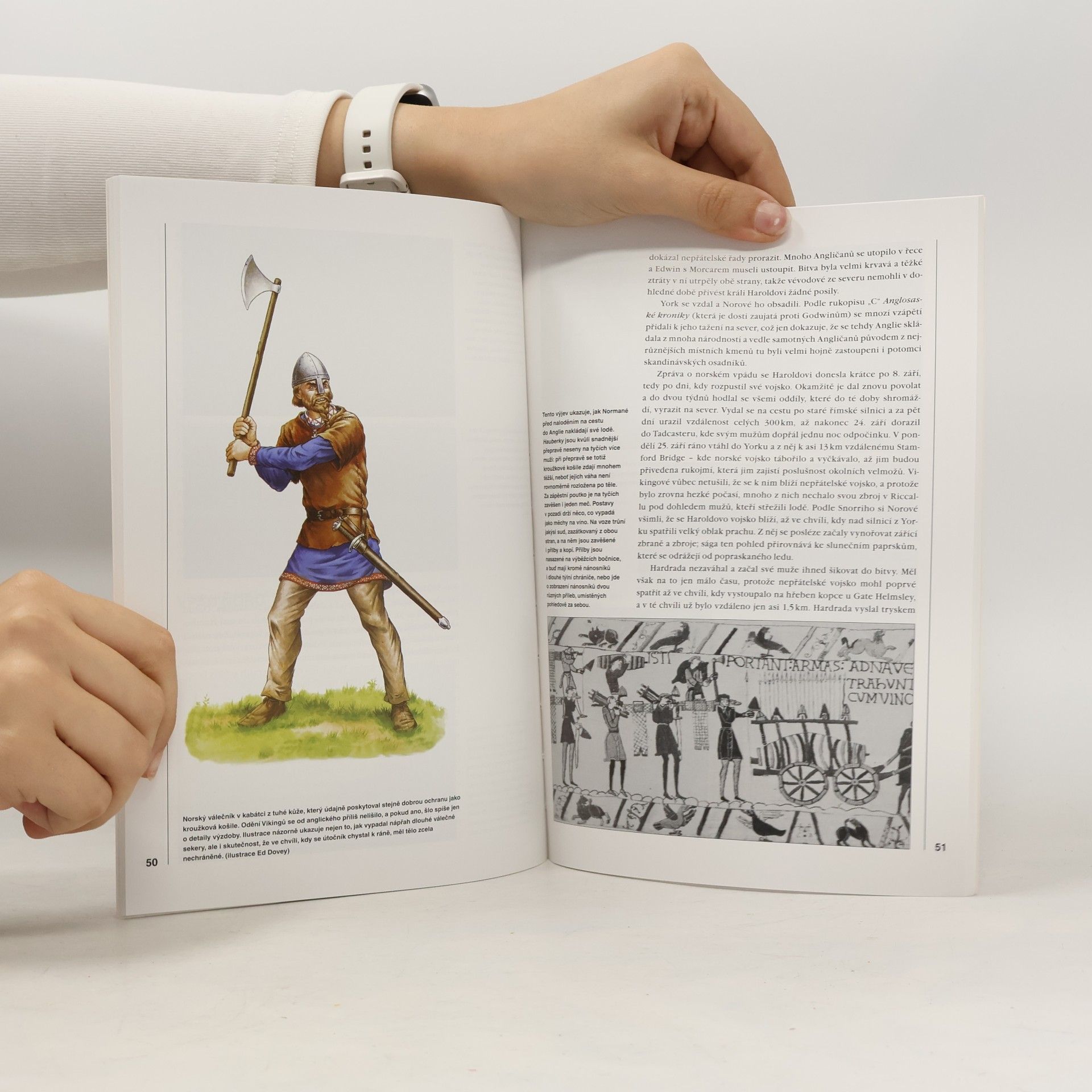 Christopher Gravett Hastings 1066