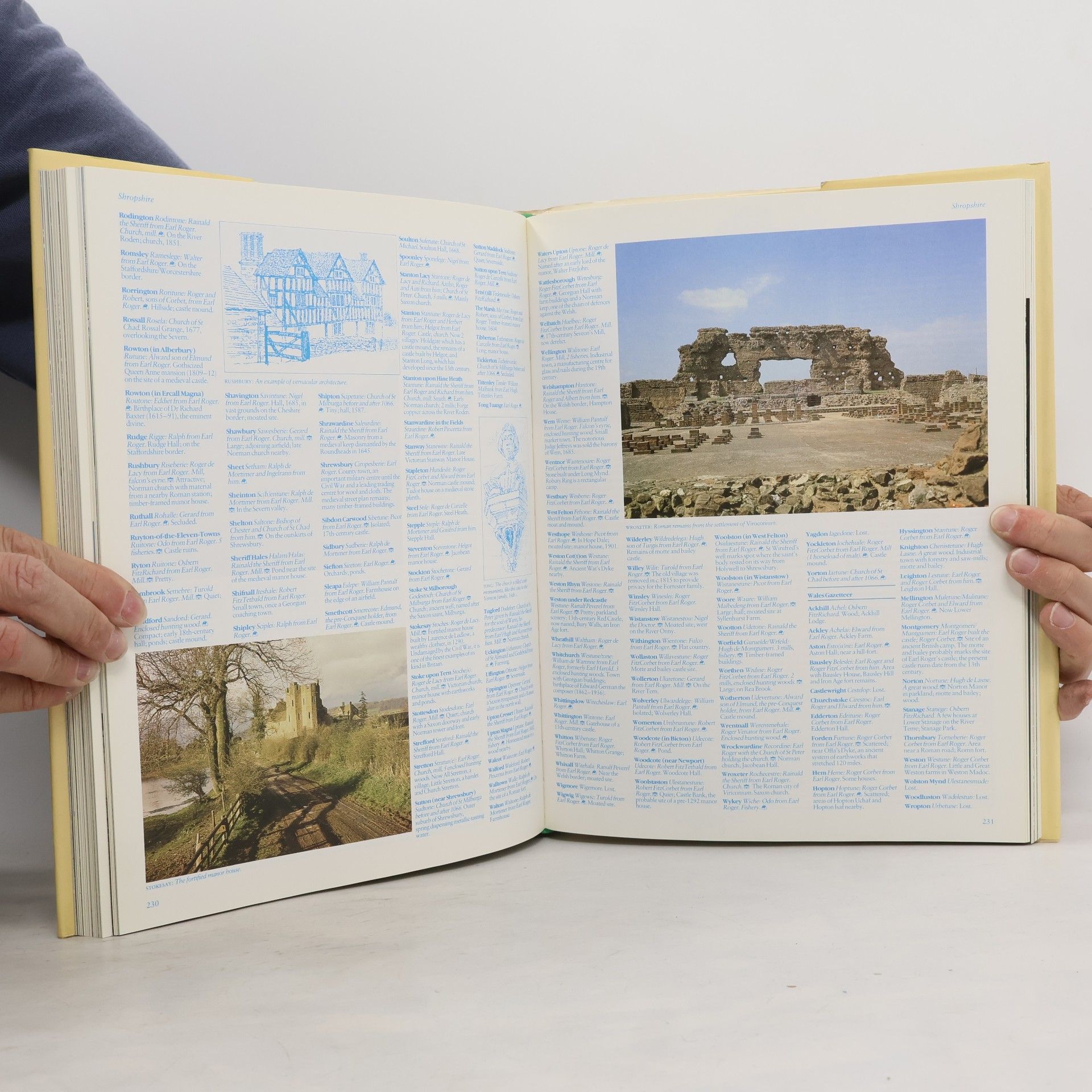 Thomas Hinde The Domesday Book