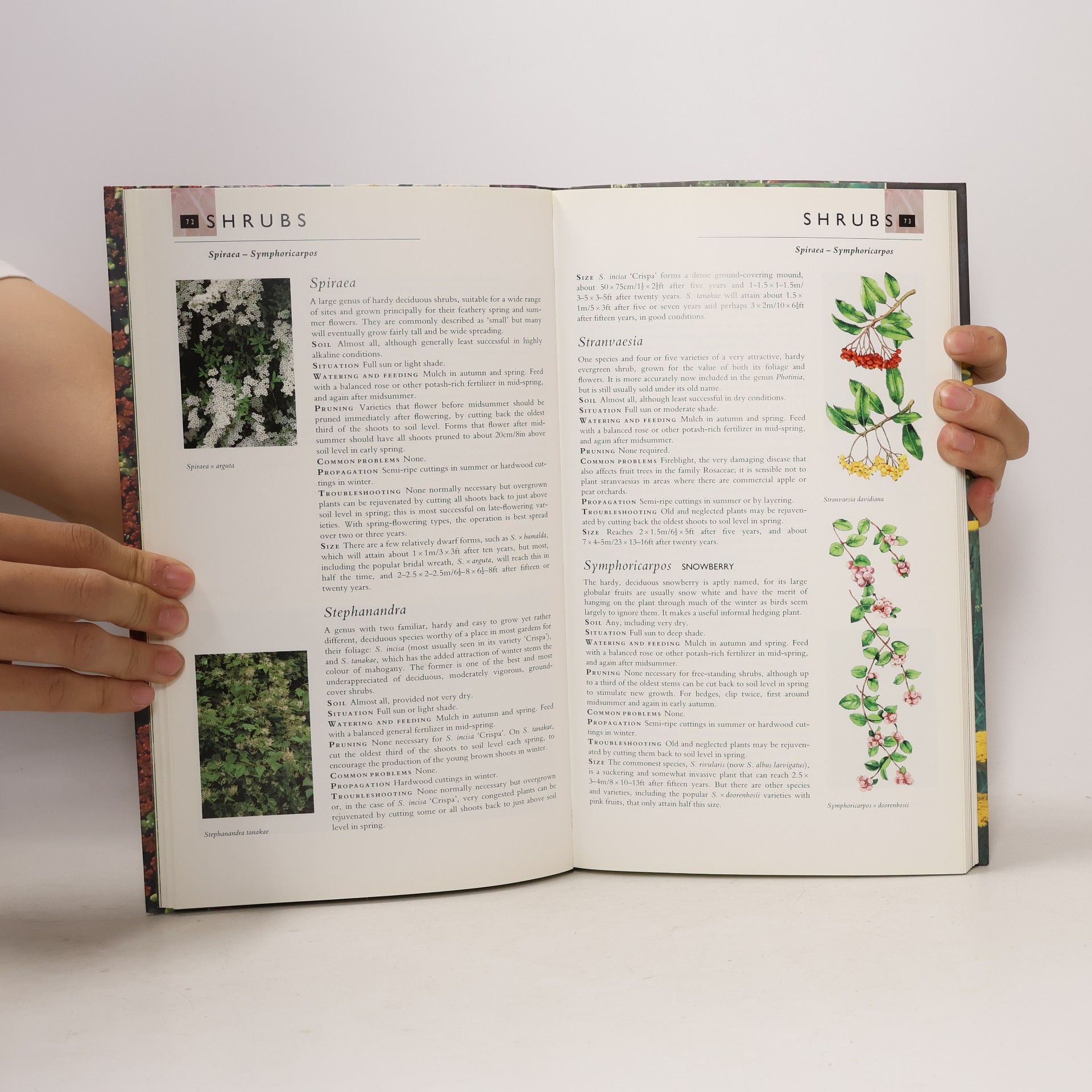 Stefan Buczacki The Plant Care Manual
