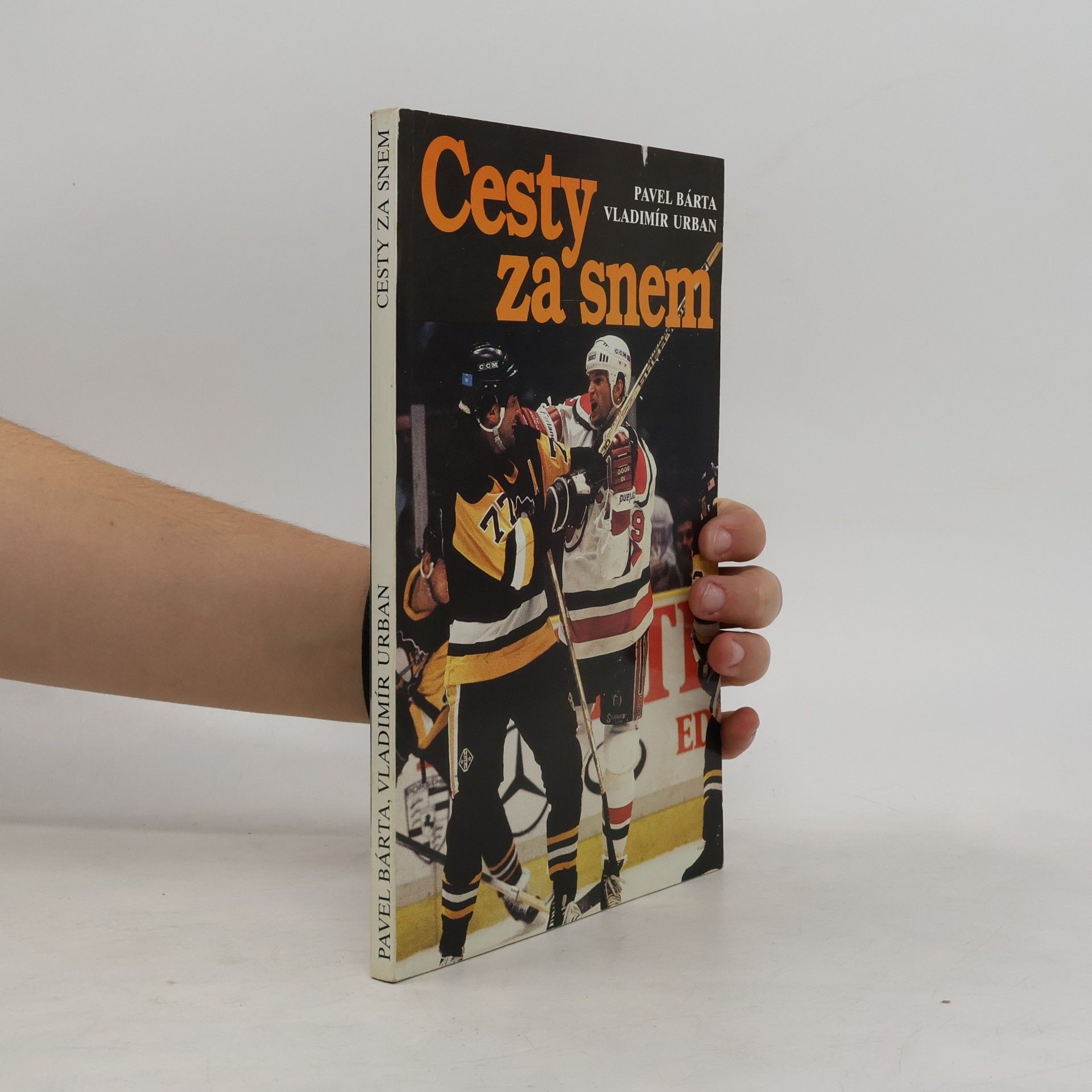 Cesty za snem