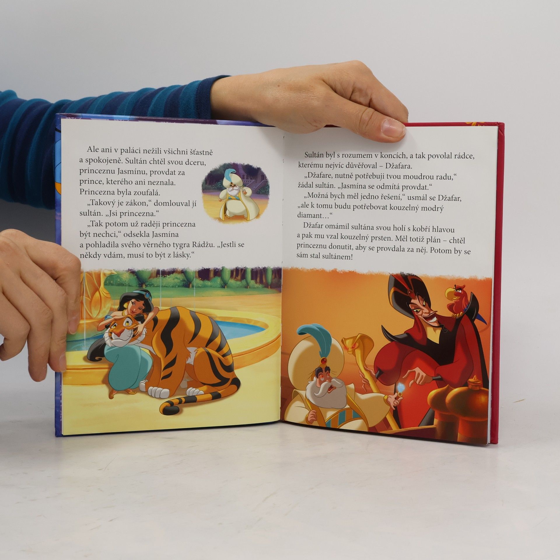 Kolektiv autorů Kouzelné čtení - Aladin