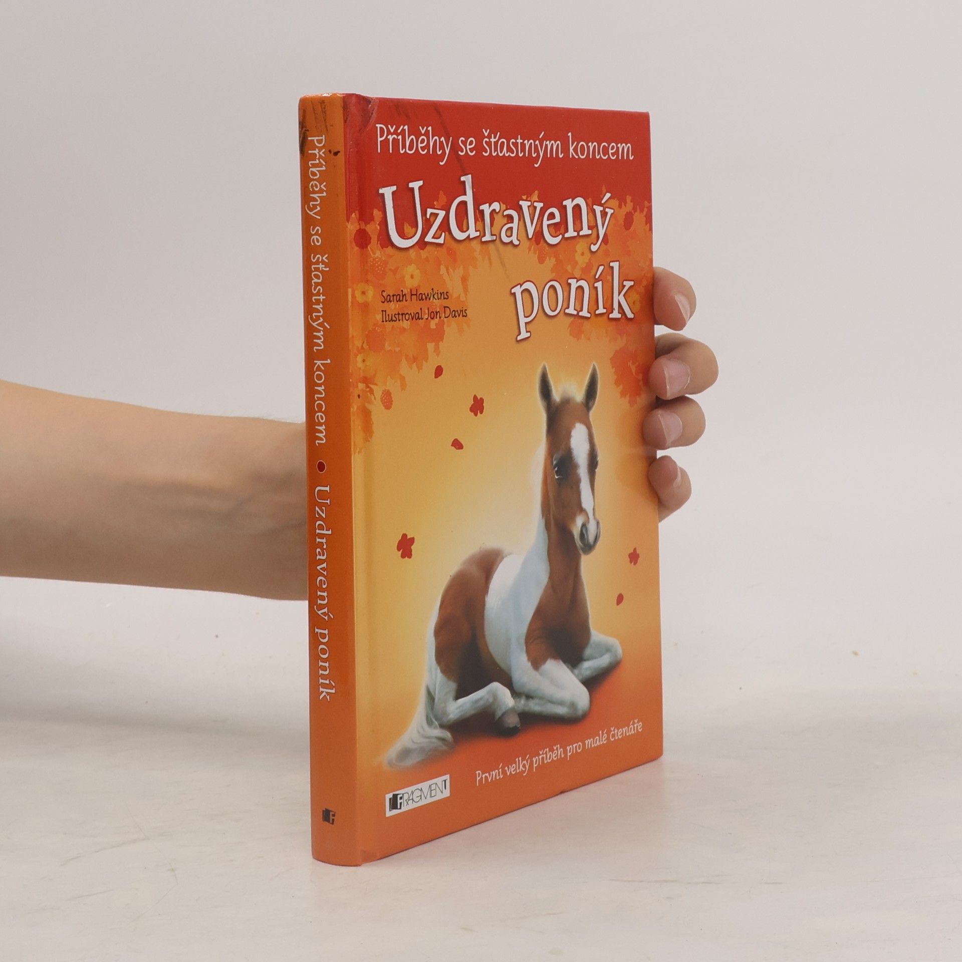 Sarah Hawkins Uzdravený poník