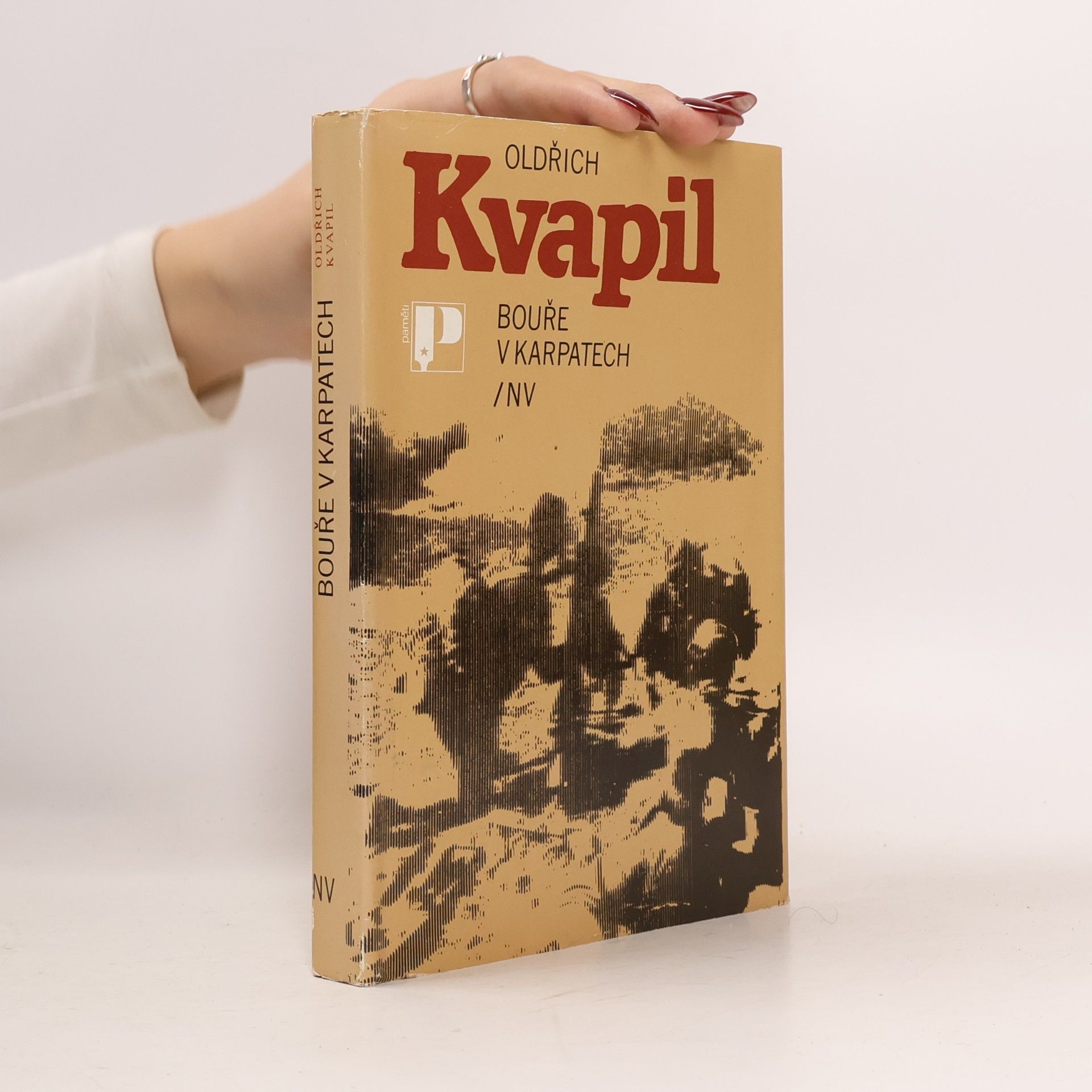 Bouře v Karpatech