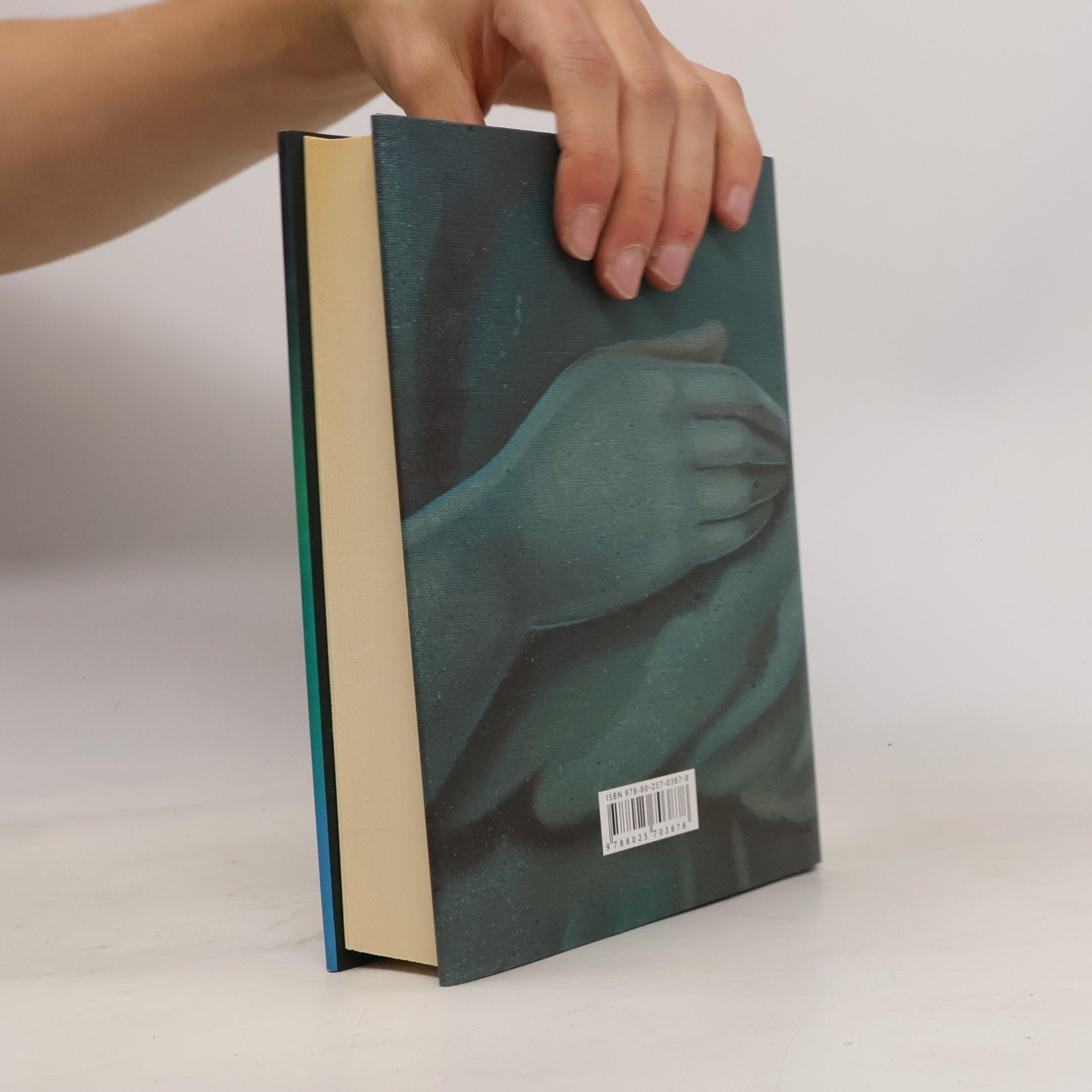 Audrey Niffenegger Její děsivá souměrnost