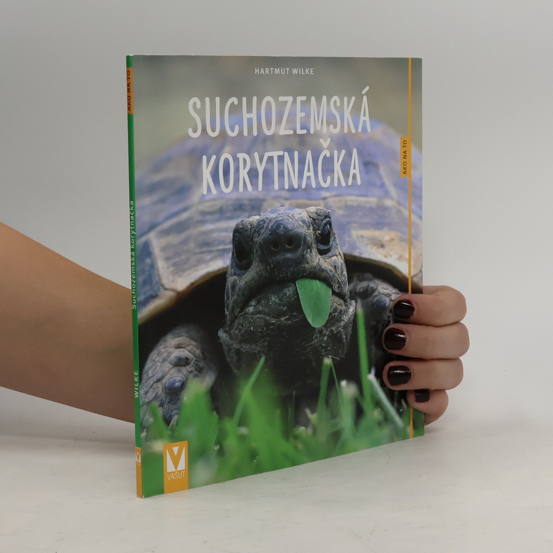 Suchozemská korytnačka