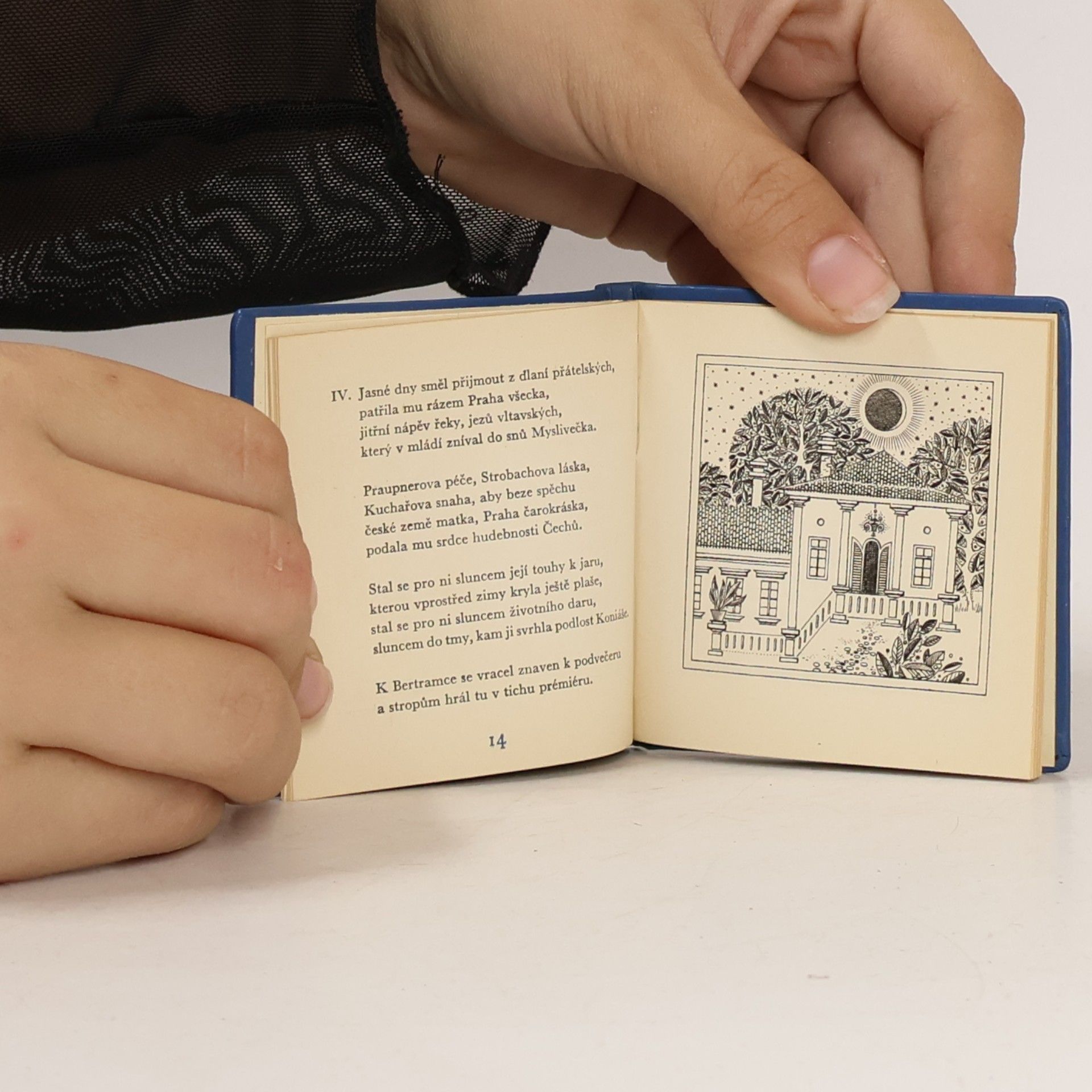 Jiří Kutina Mozart na Bertramce