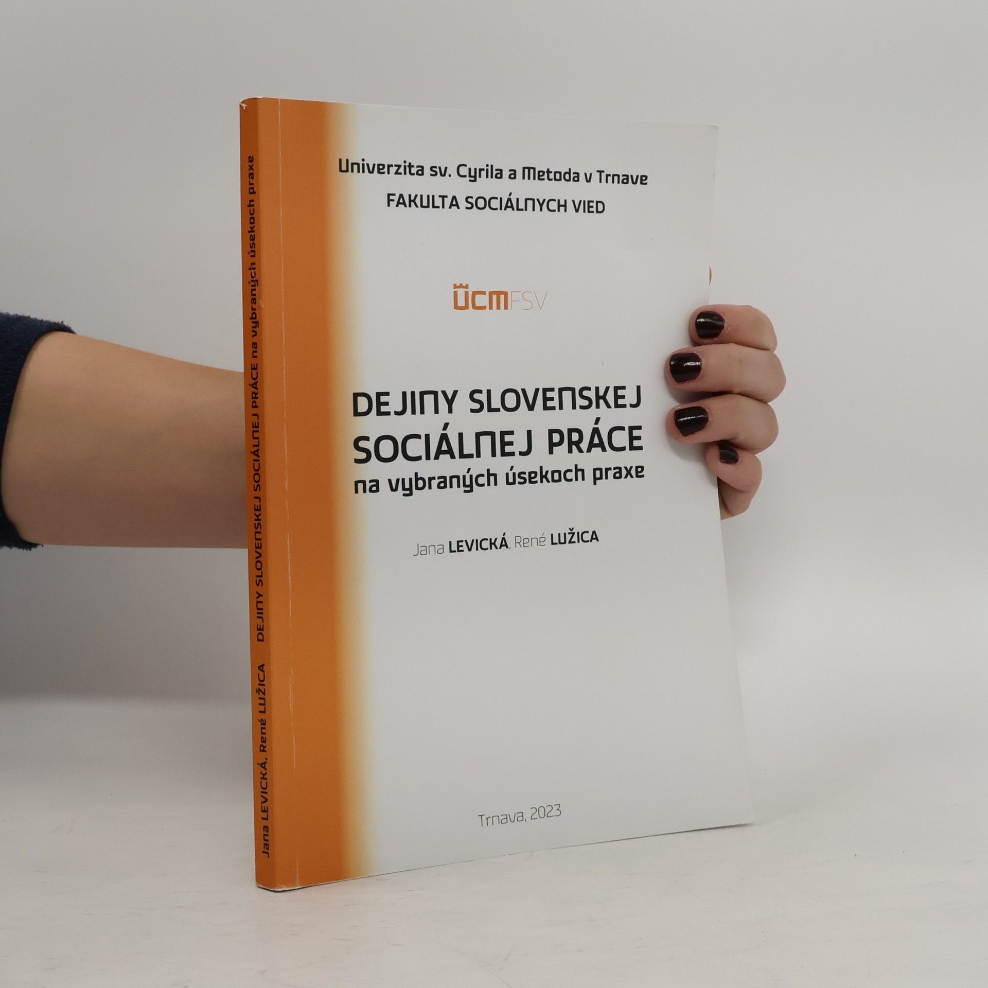 Dejiny Slovenskej sociálnej práce na vybraných úsekoch praxe