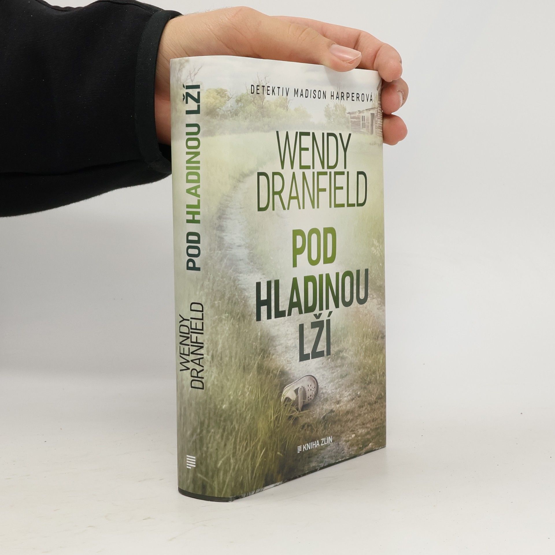 Wendy Dranfield Pod hladinou lží