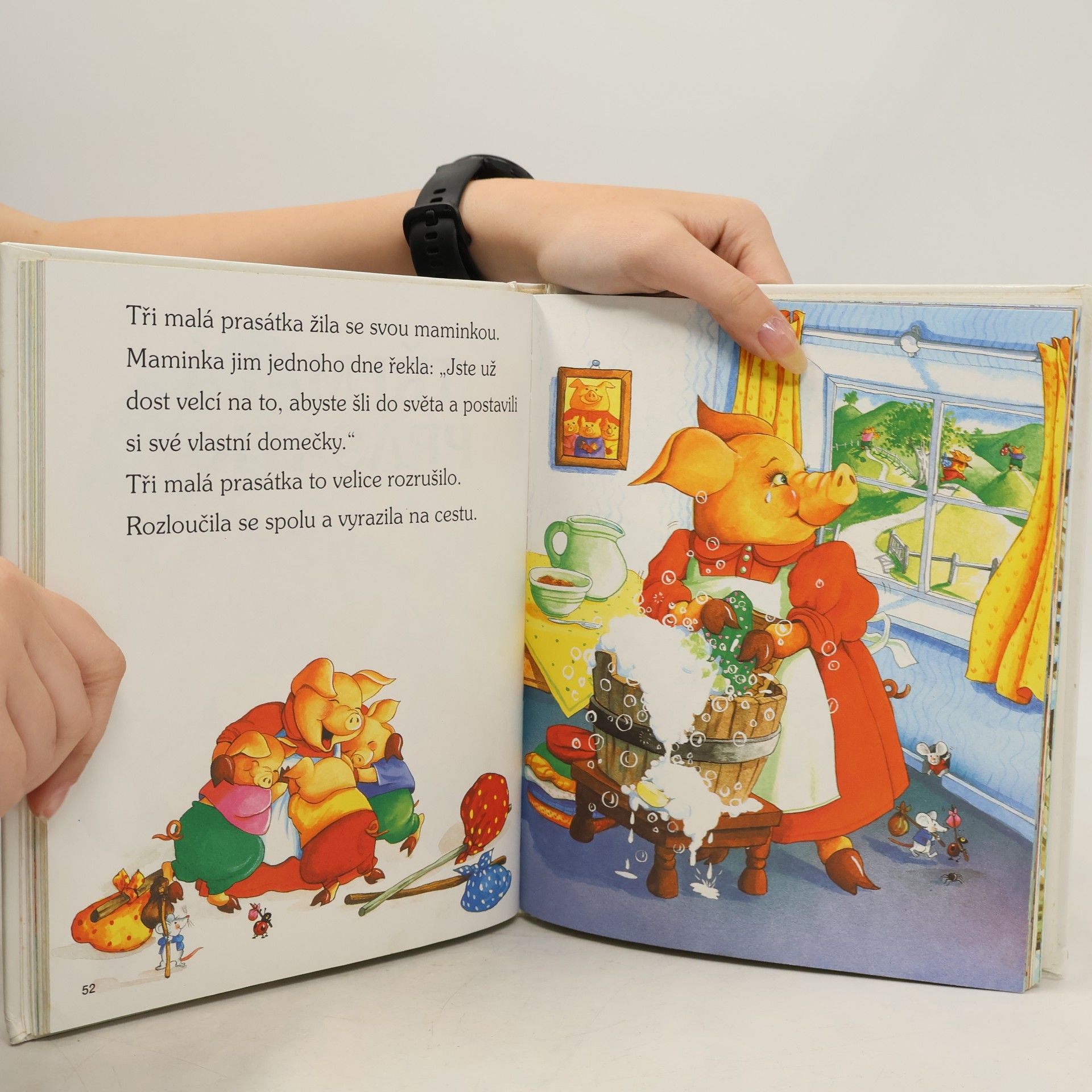 Karel Blažek Ošklivé káčátko